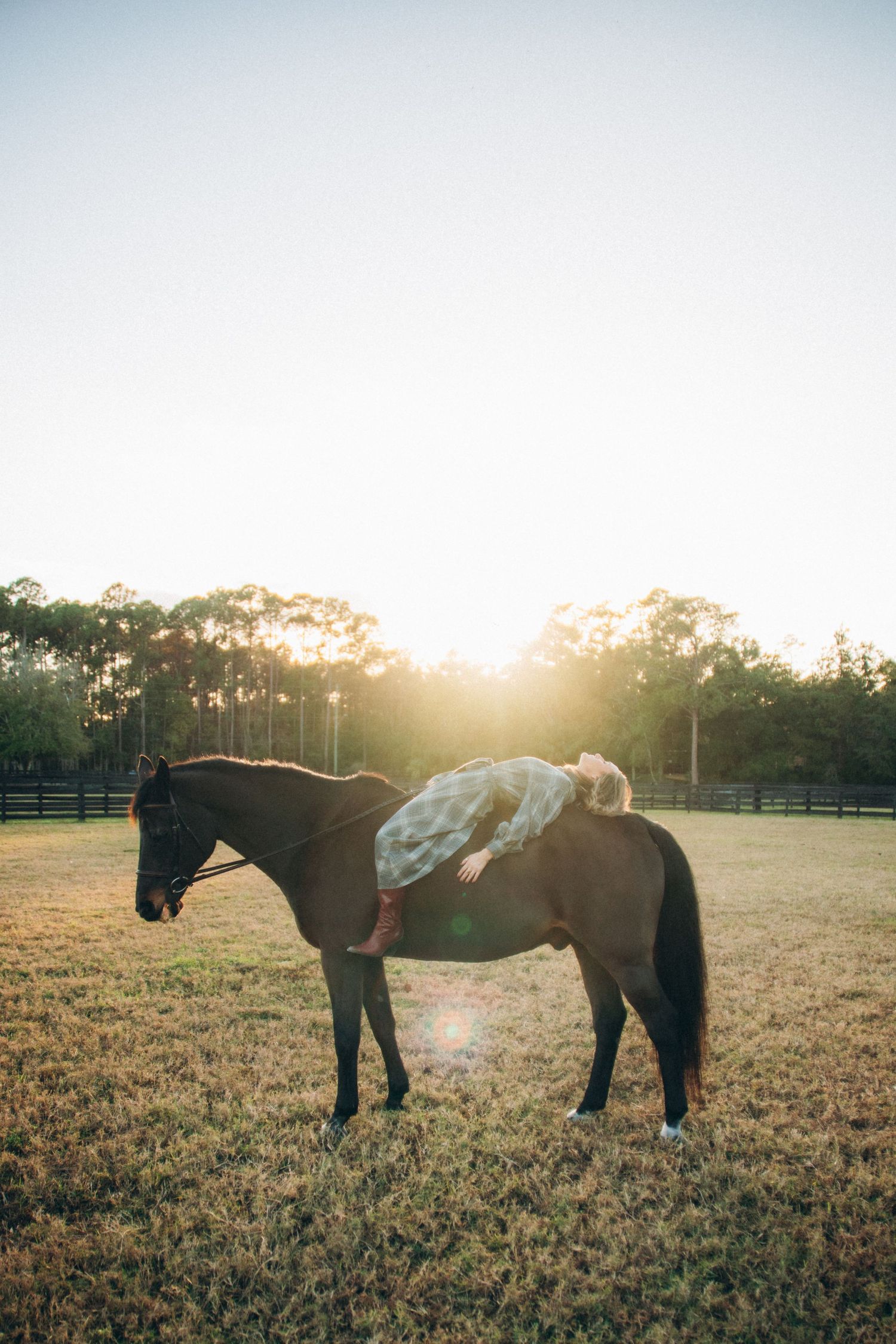 Person in white dress lying on a dark horse's back during sunset in a fenced pasture.
