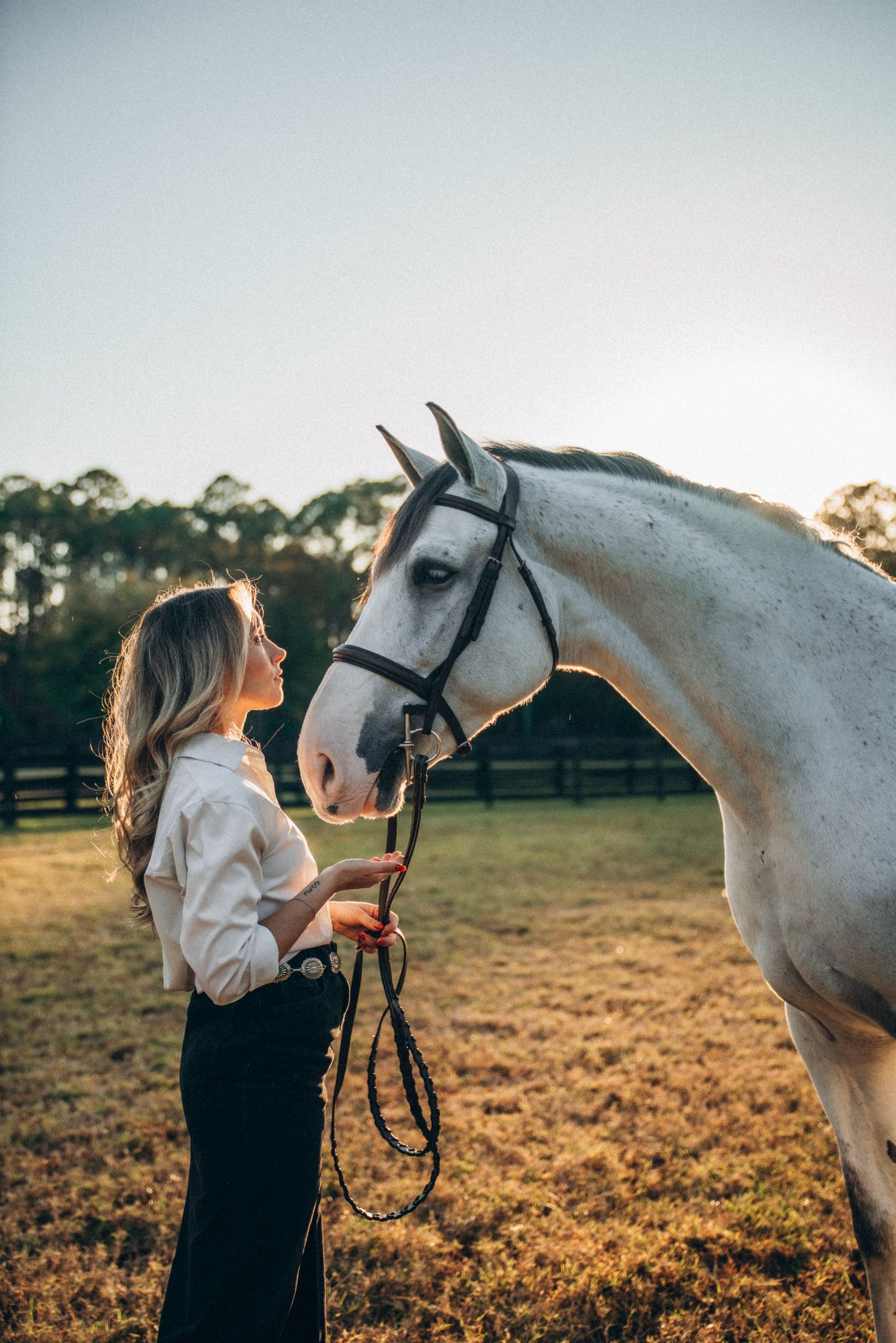 A beautiful white horse with bridle shares a tender moment with its handler in a sunset-lit field.
