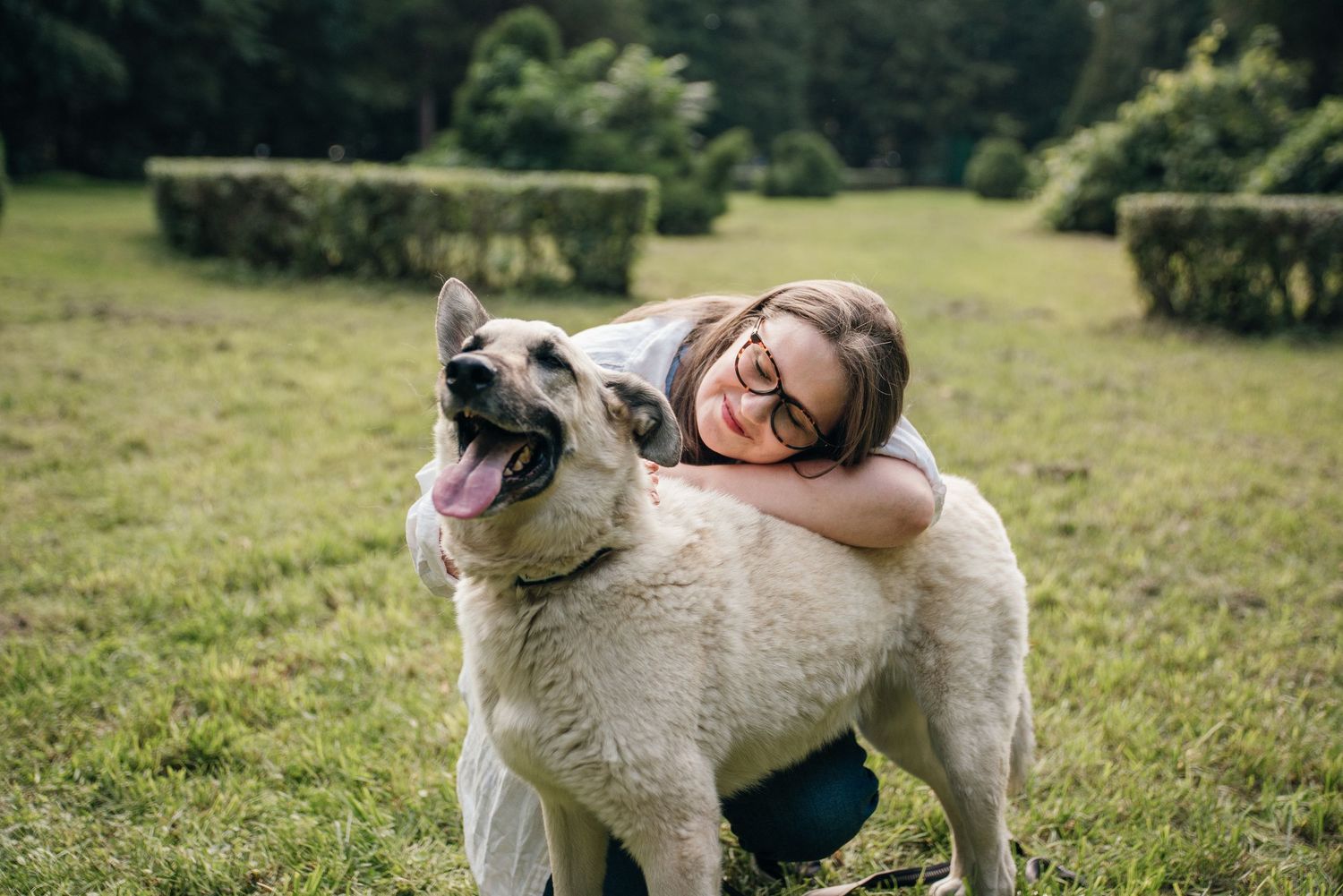 A smiling girl with glasses hugs a large tan dog on a green grass lawn with trimmed hedges in the background.