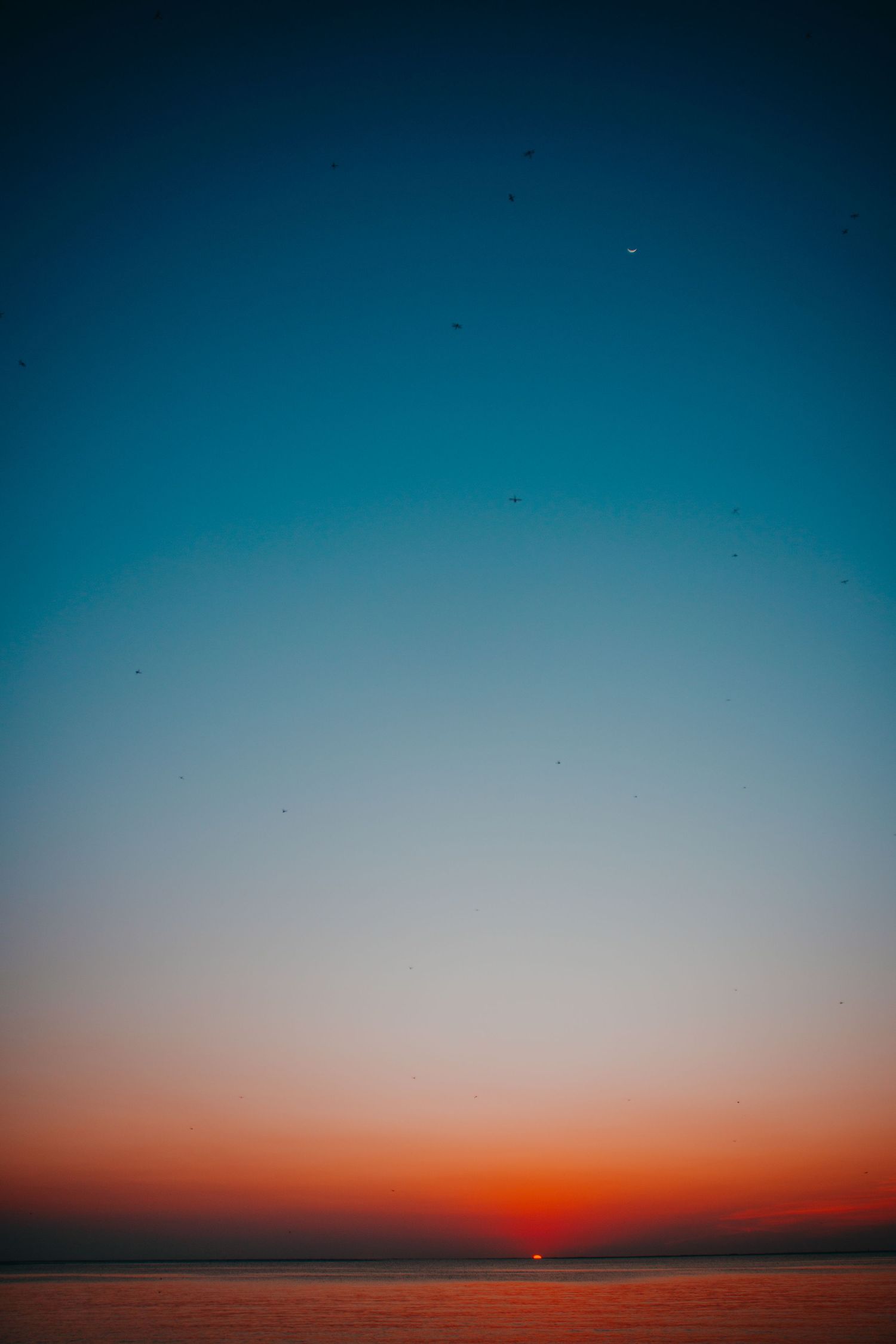 Vibrant sunset sky gradient from deep blue to orange over horizon.