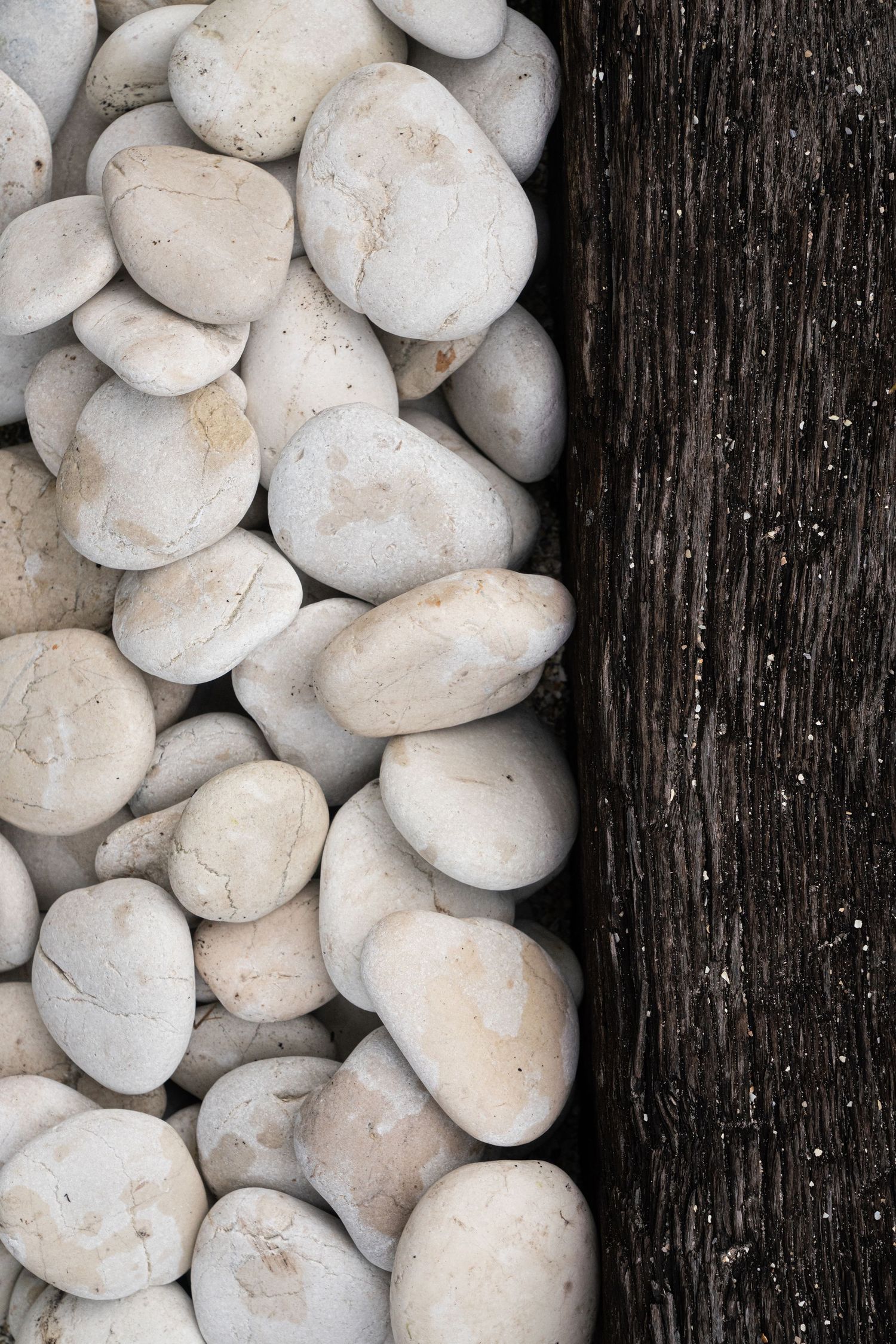 White smooth pebbles arranged next to dark weathered wood texture background.