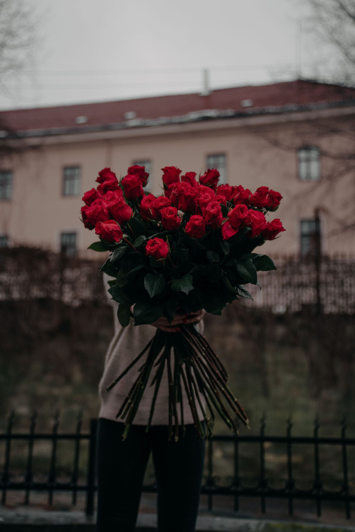 Person holding large bouquet of red roses obscuring face outdoors near iron fence.