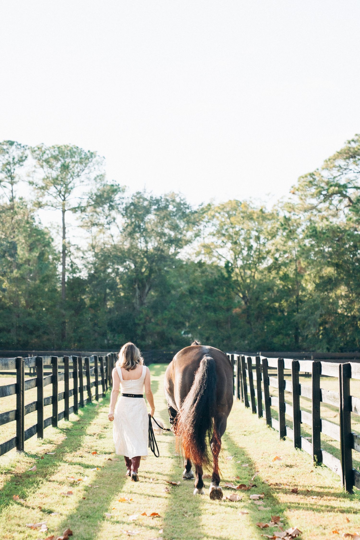 A scenic path lined with black fencing leads through a grassy field with horses and trees in the background.