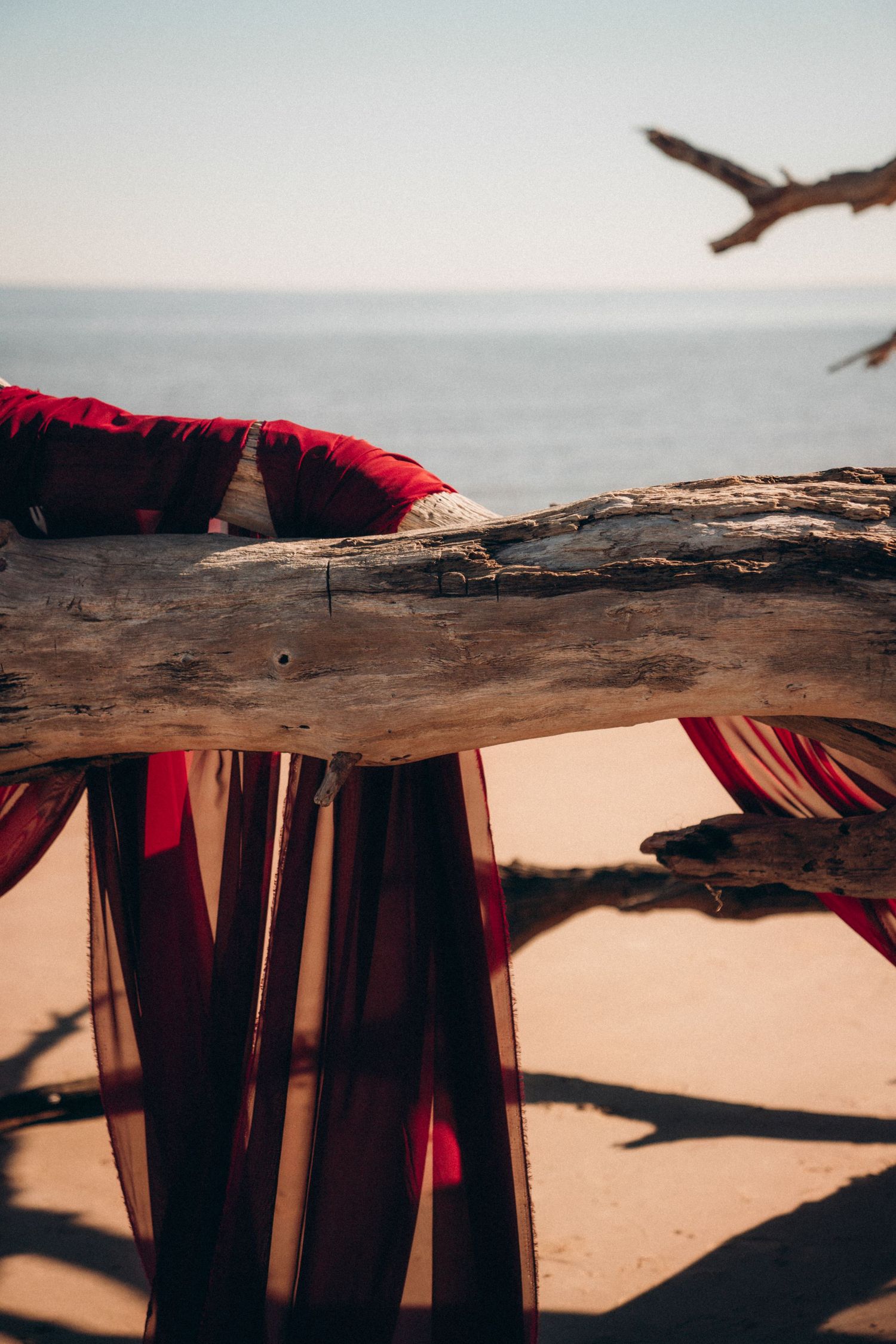 Weathered driftwood logs cast shadows on sandy beach with red fabric visible underneath.