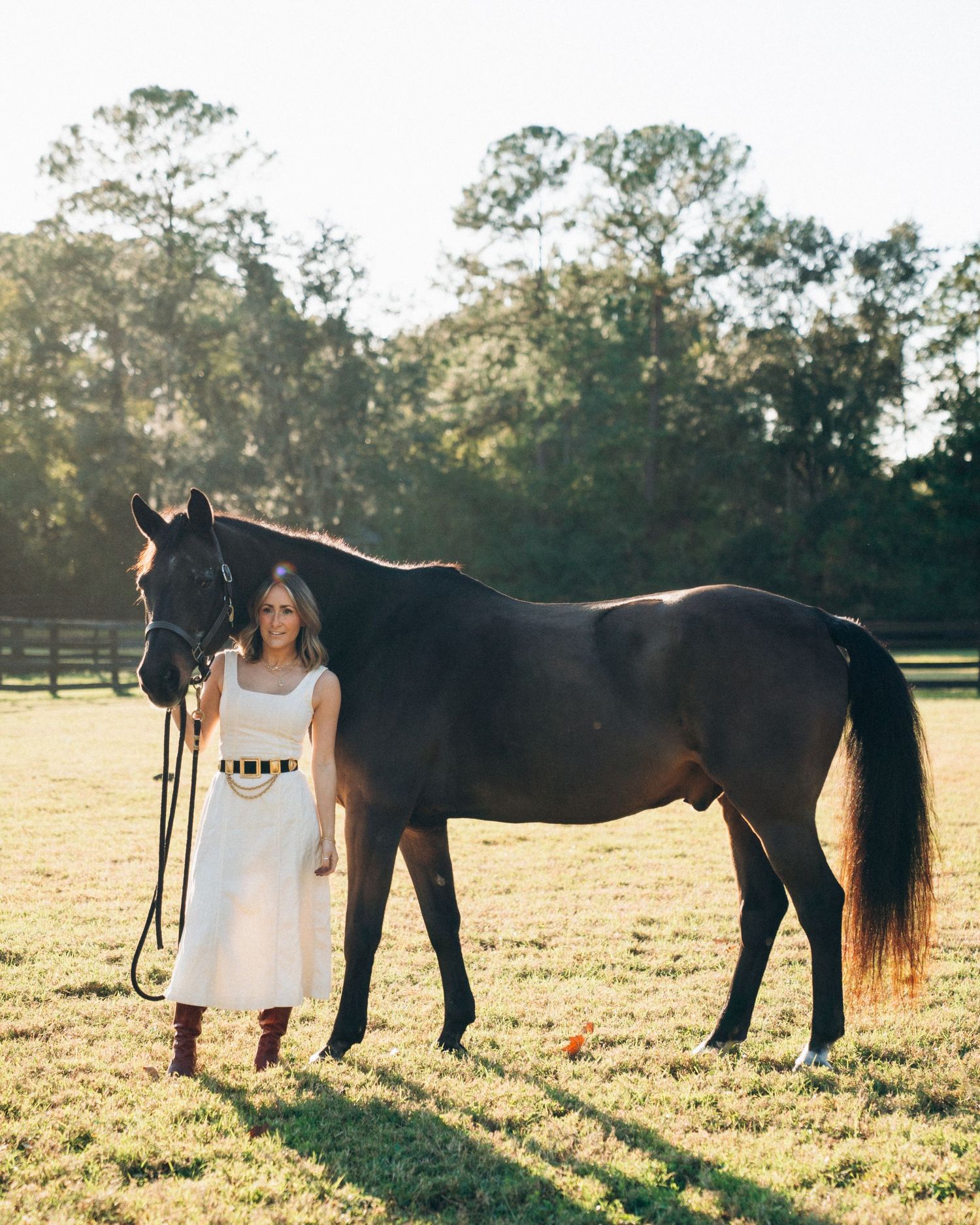 A series of backlit silhouettes showing a horse and person standing together in a sunlit field at golden hour.