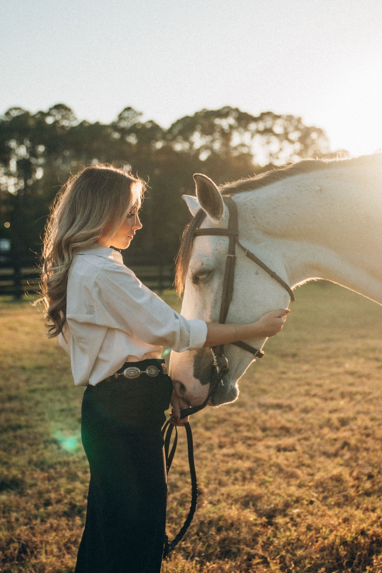 A person in a white shirt and dark pants stands with a white horse in a sunlit field at golden hour.