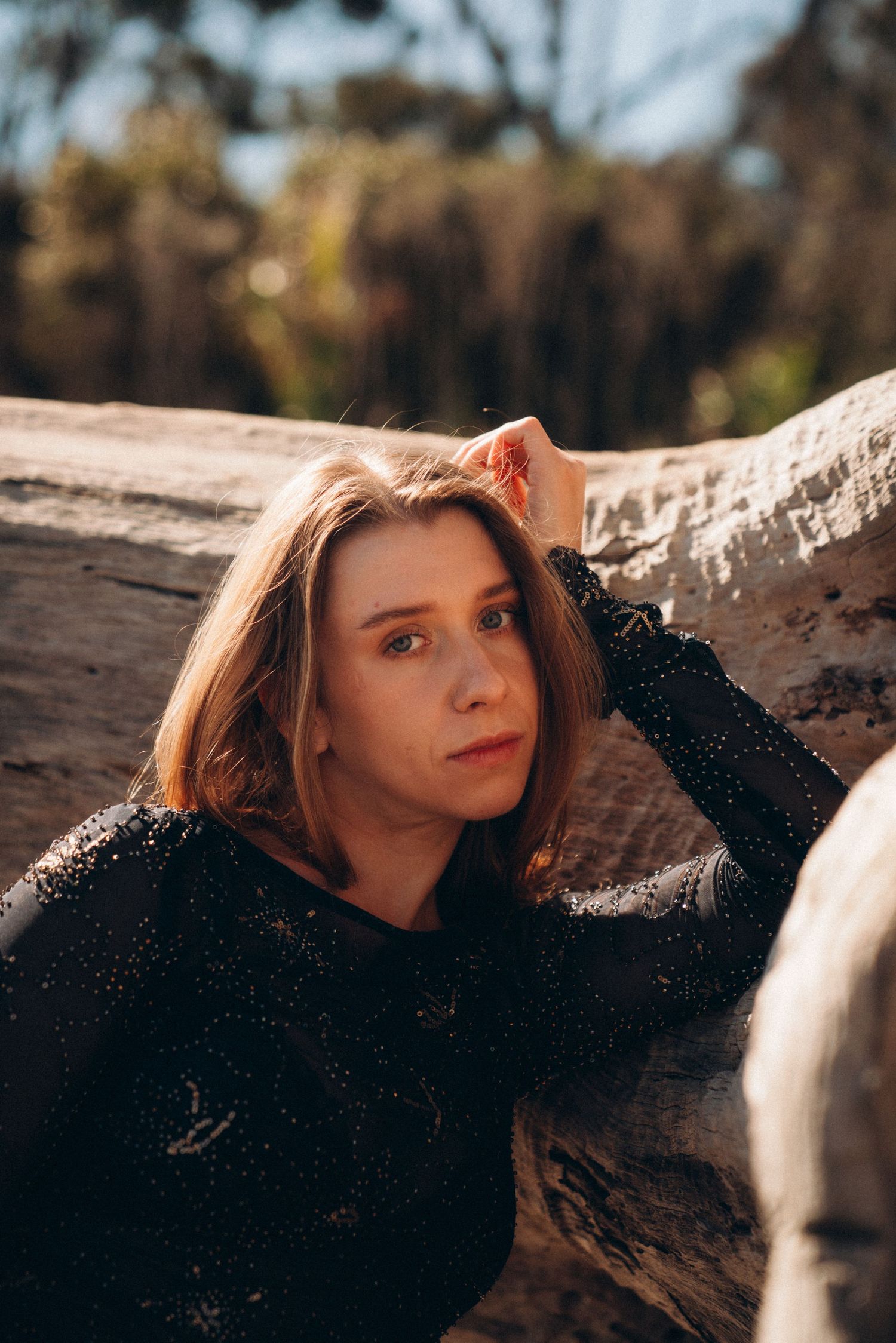 A sequence of artistic portraits captured against natural driftwood in warm sunlight.