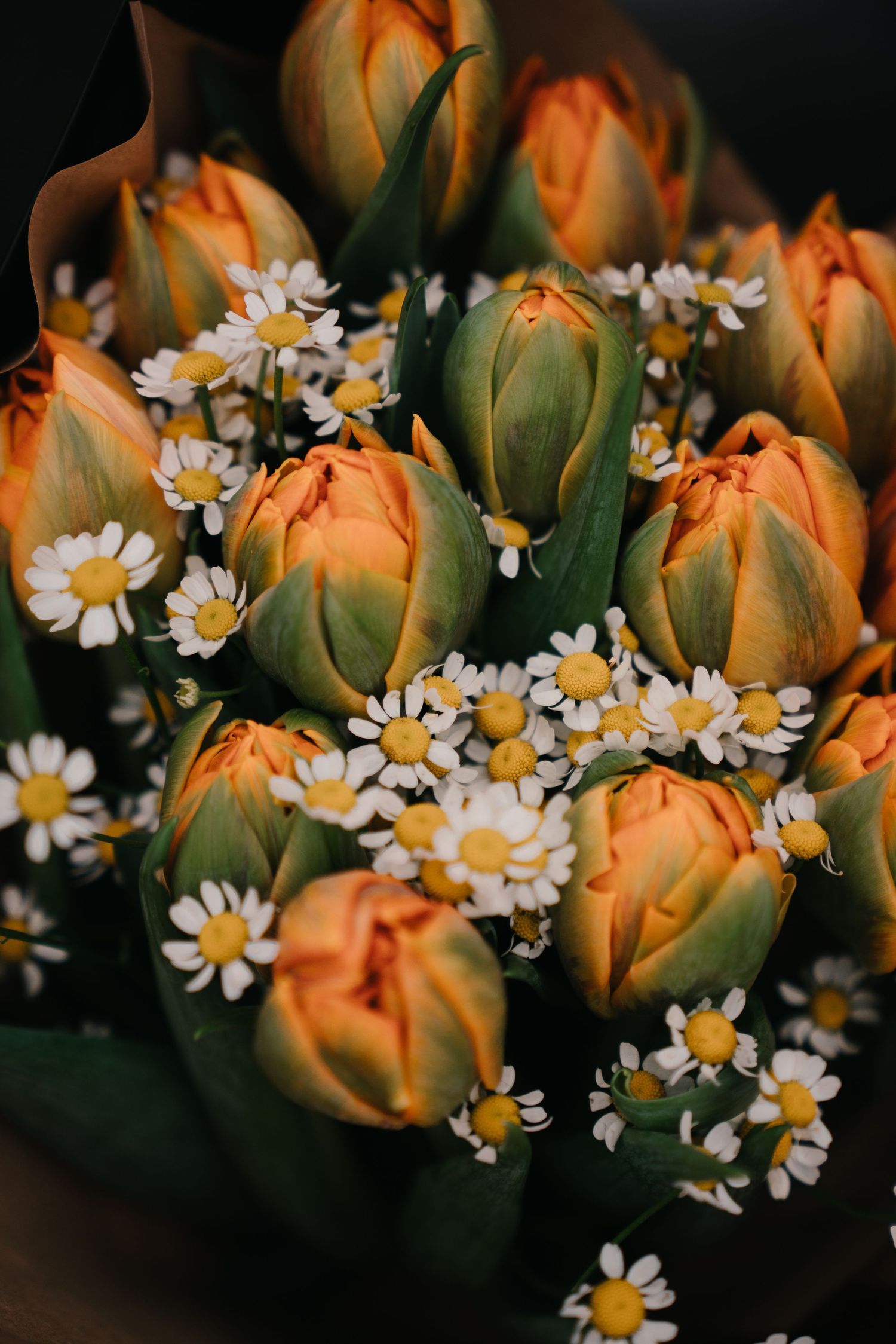 Bouquet of orange tulips and white daisy flowers with green leaves arranged together.