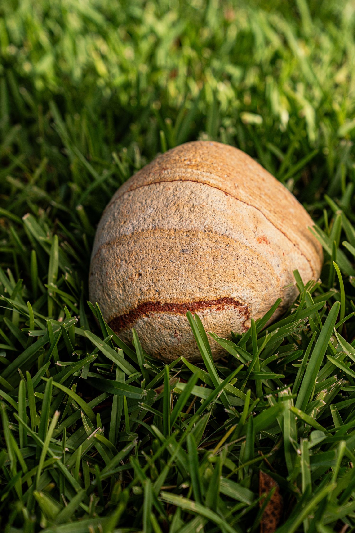 Single tan and brown striped oval rock resting in bright green grass in warm sunlight.