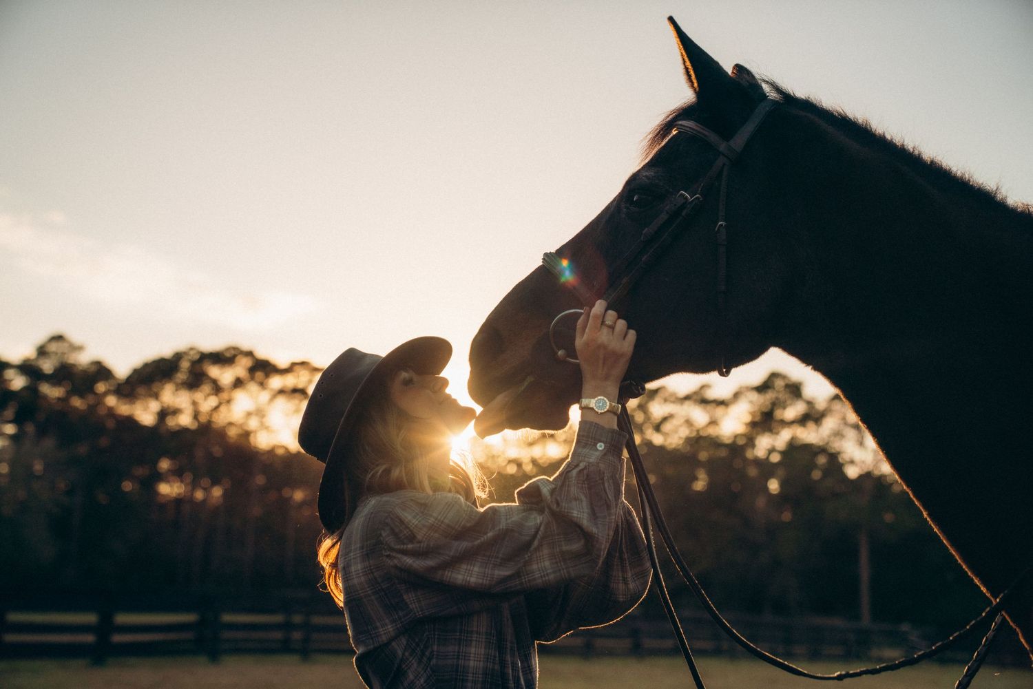 Silhouette of horse and companion against dramatic sunset sky with lens flare.