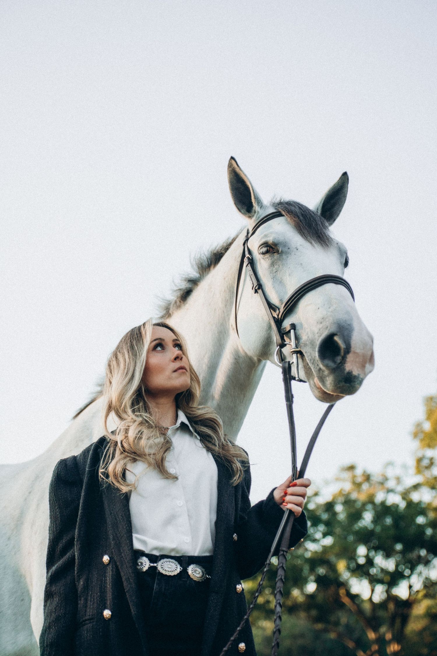 A majestic white horse wearing a black bridle poses in natural outdoor setting.