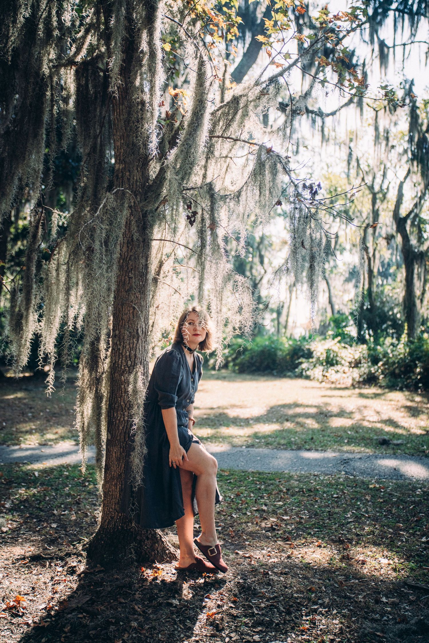 A figure sits beneath Spanish moss-draped trees in a serene woodland setting.