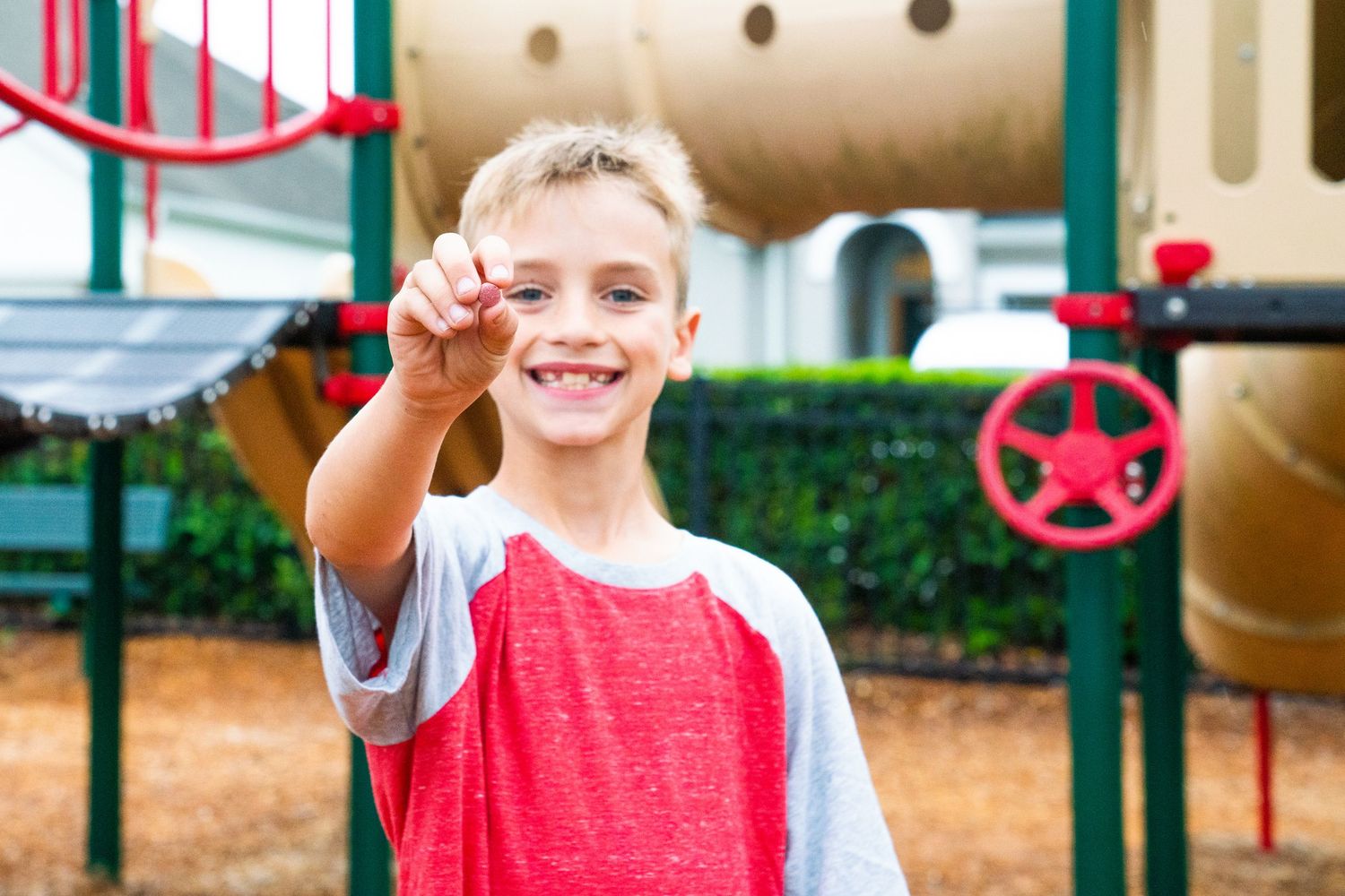 Smiling boy holding up a small object at a colorful playground, wearing a red and gray raglan shirt.