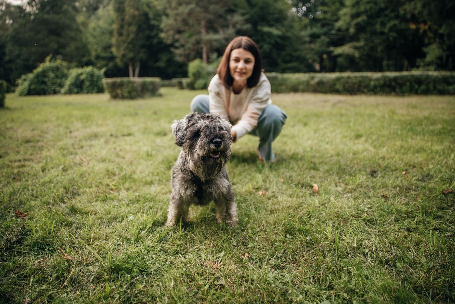 Young woman playing with a fluffy gray dog on green grass in a park setting.
