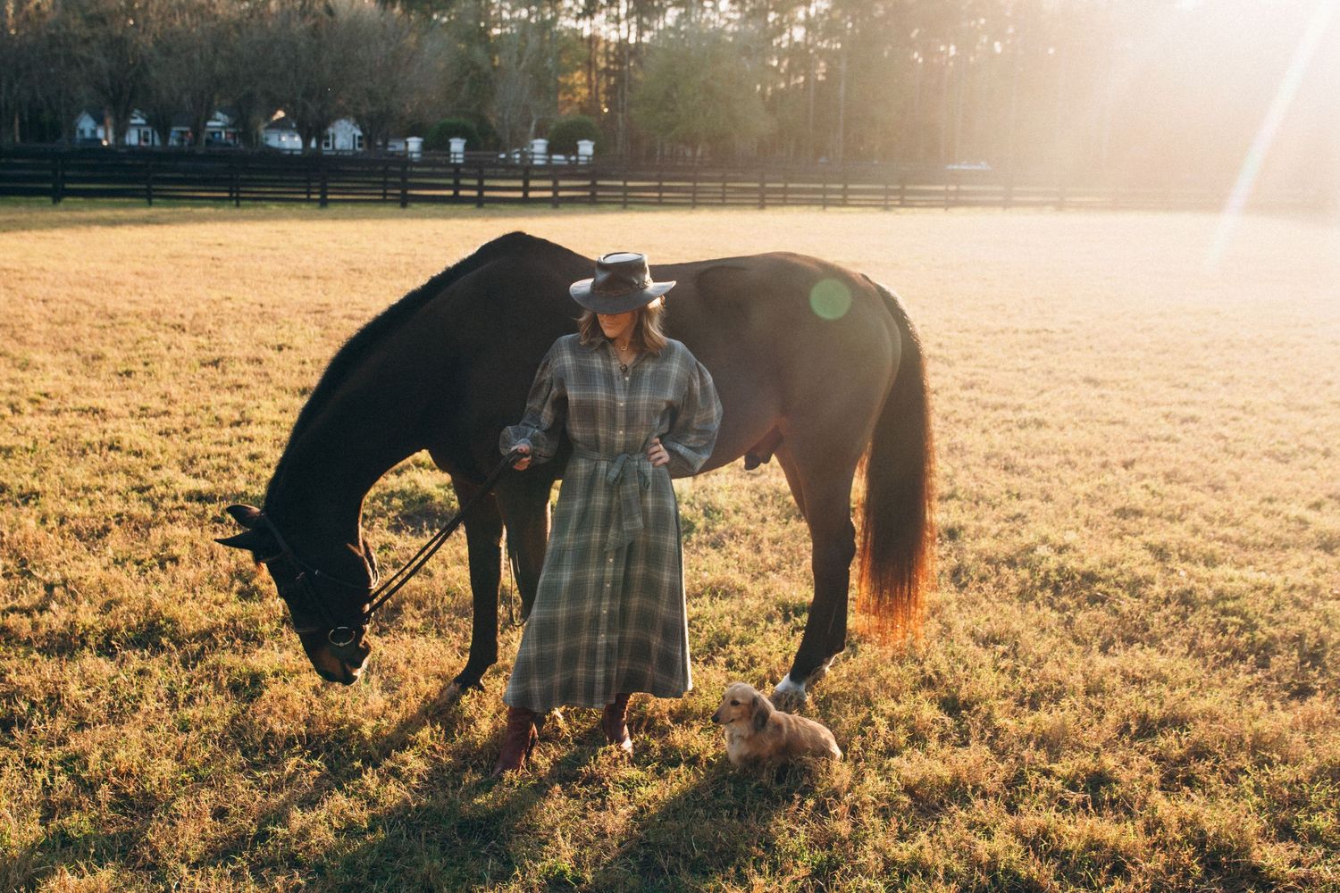 Horse and rider enjoy a peaceful moment together in a grassy field during golden hour.