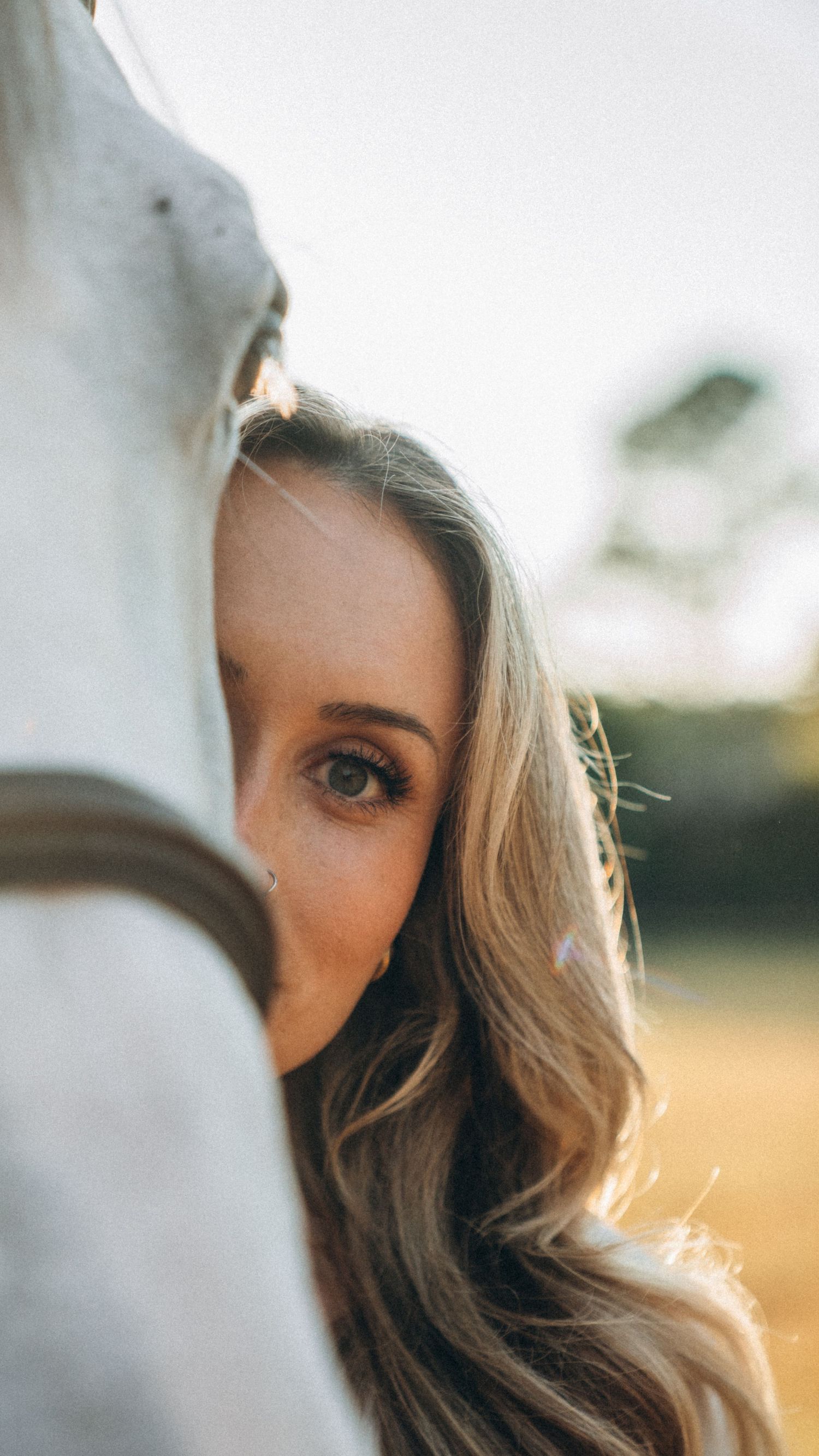 Close-up artistic portrait with a white horse in soft natural lighting.