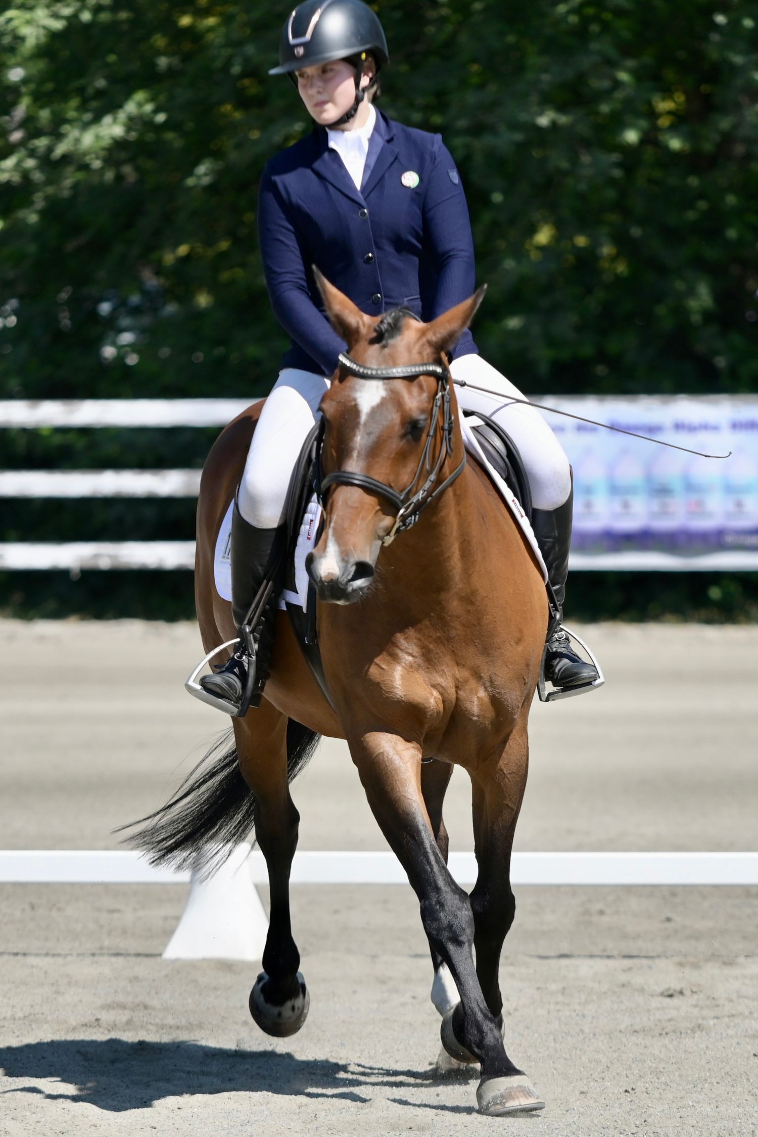 female in dressage show outfit on a horse, Pony Club, equestrian, equine, Maple Ridge