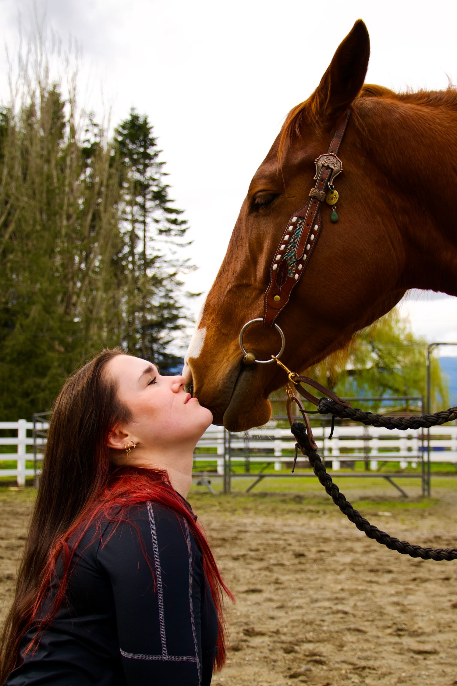 female on grind kissing horses muzzle