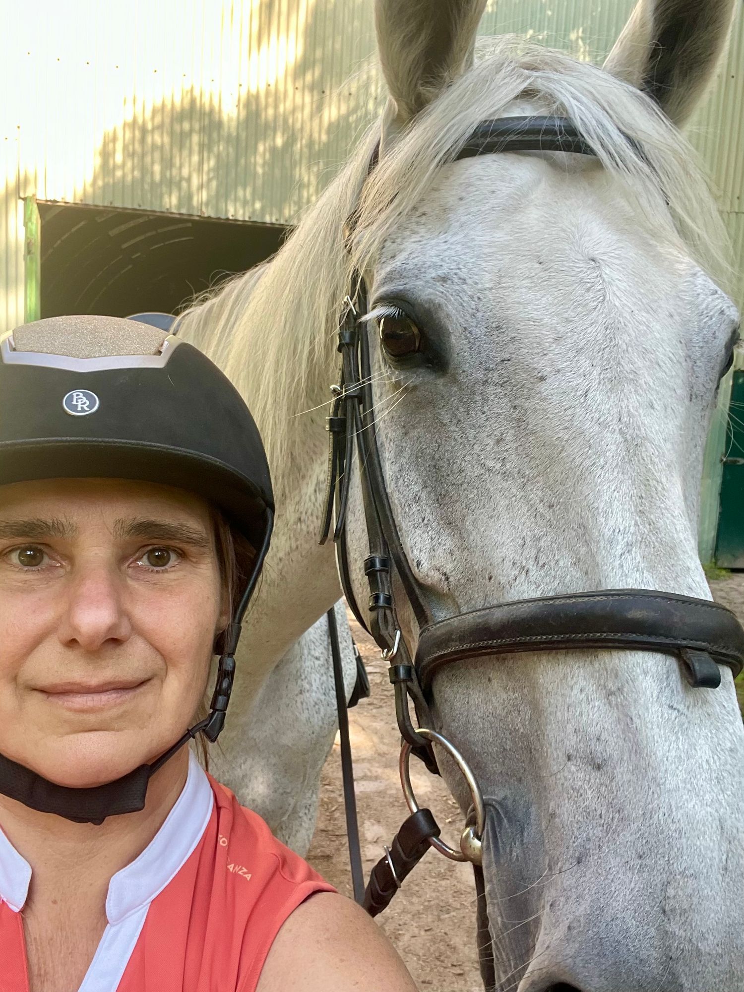 Selfie of woman in riding helmet and grey horse, equine, Karlsruhe, Germany, dressage, Egon von Neindorff Reitinstitut