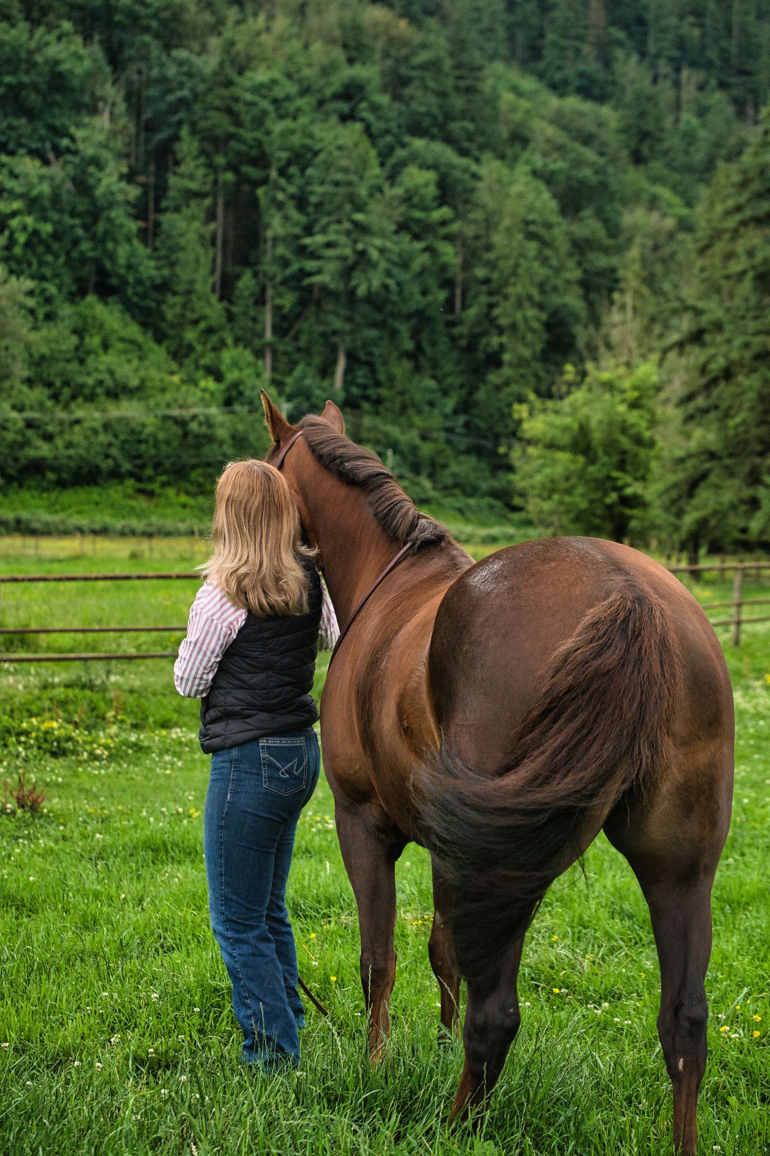 female holding horse seen from the back, graduation, horse & Rider, Fraser Valley