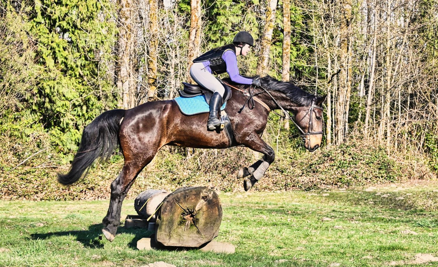 Girl jumping log Cross country, horse, equine, Island 22, Fraser Valley