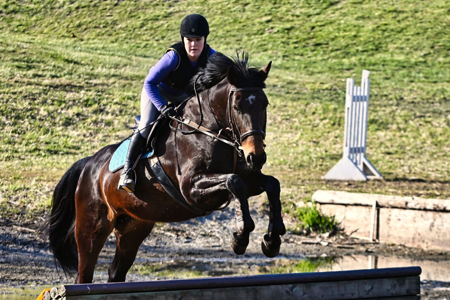 female on bay horse jumping out of a water obstacle, cross country, Island 22, Chilliwack