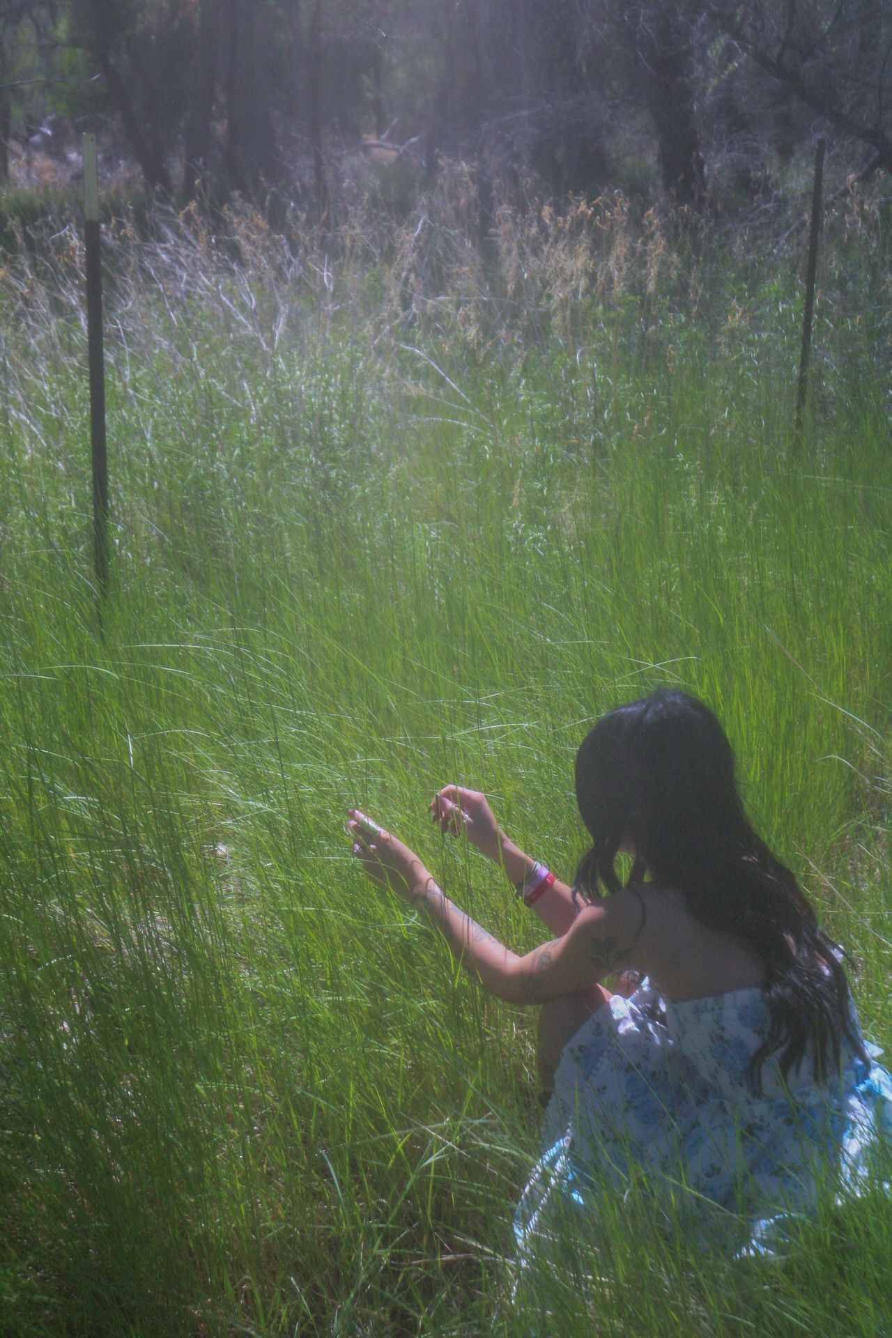 Tori Marie Photos
dreamy portrait playing in the grass
Kern County Photographer 
Whimsical 
Portrait photography