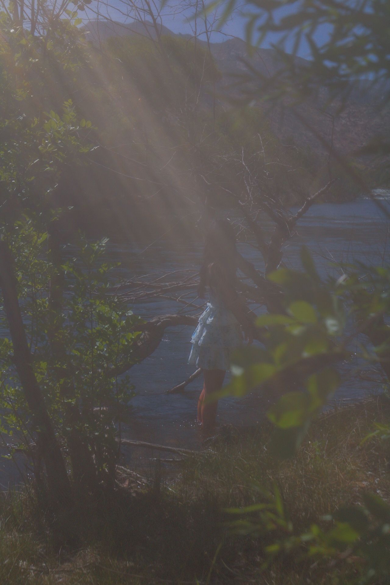 dreamy portrait looking over the river
Kern County Photographer 
Whimsical 
Portrait photography
Tori Marie Photos