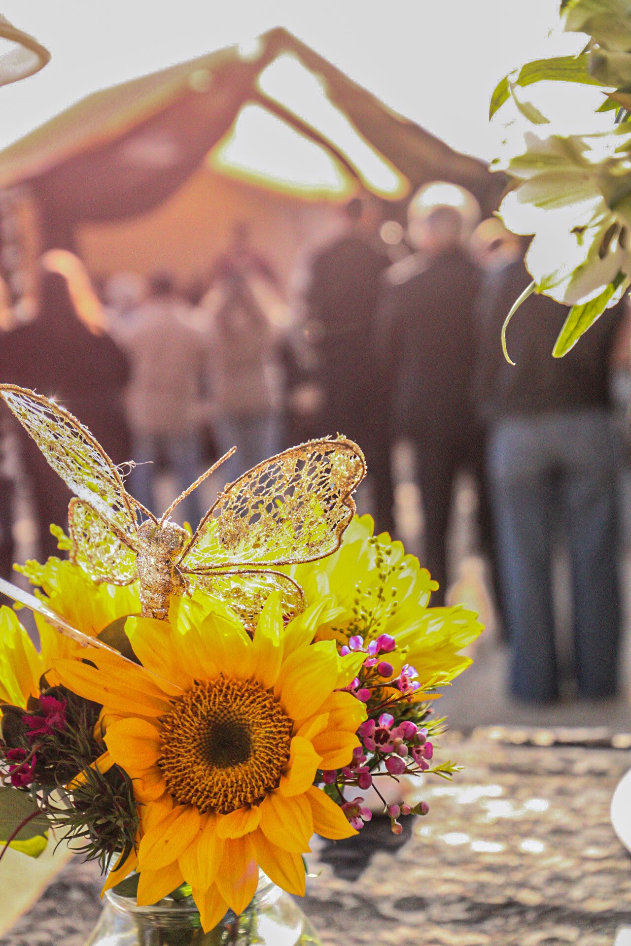 Sunflowers 
Kern County Photographer
Tori Marie Photos