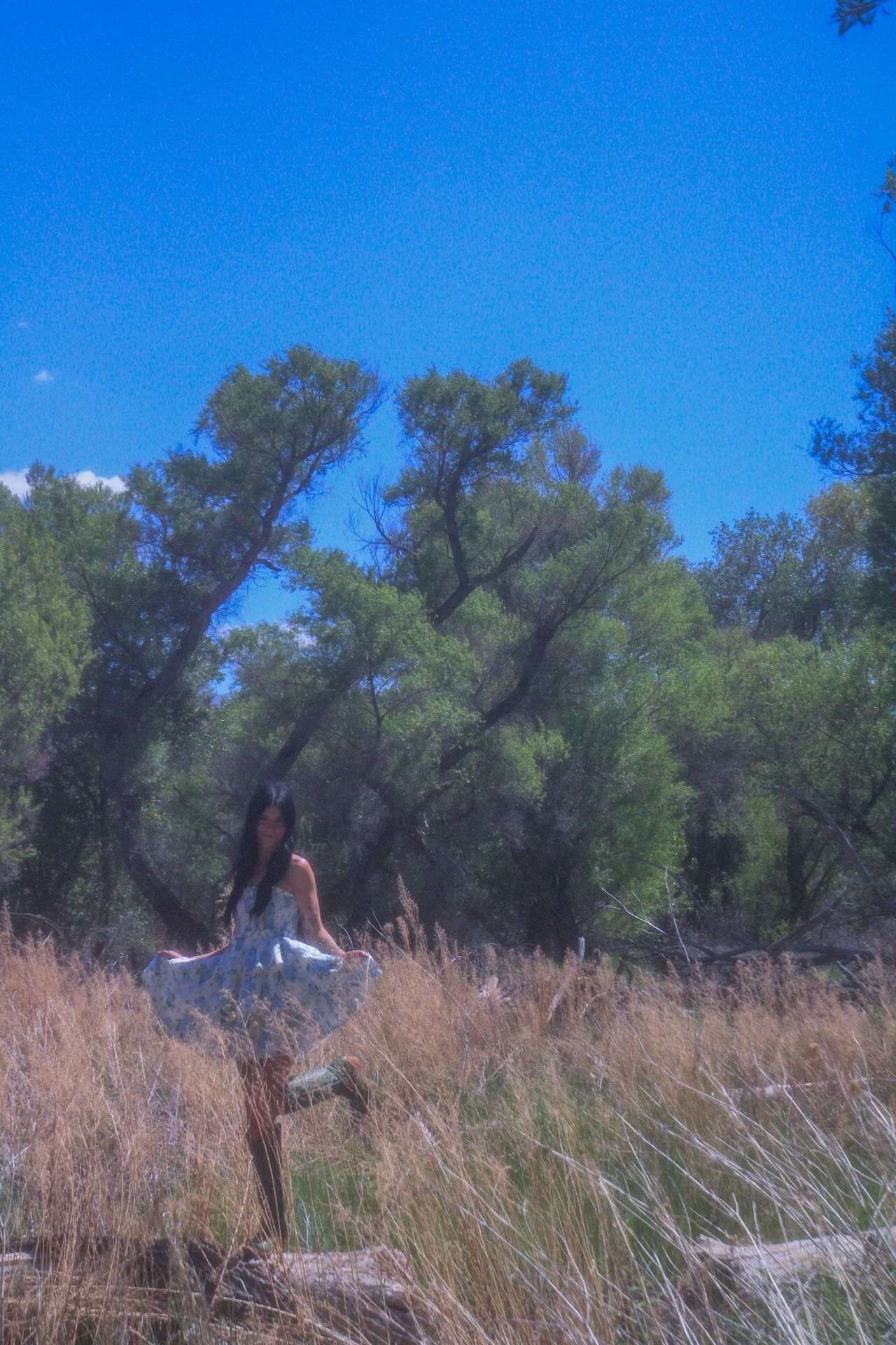 Tori Marie Photos
wild angle portrait posing on a log
Kern County Photographer 
Whimsical 
Portrait photography