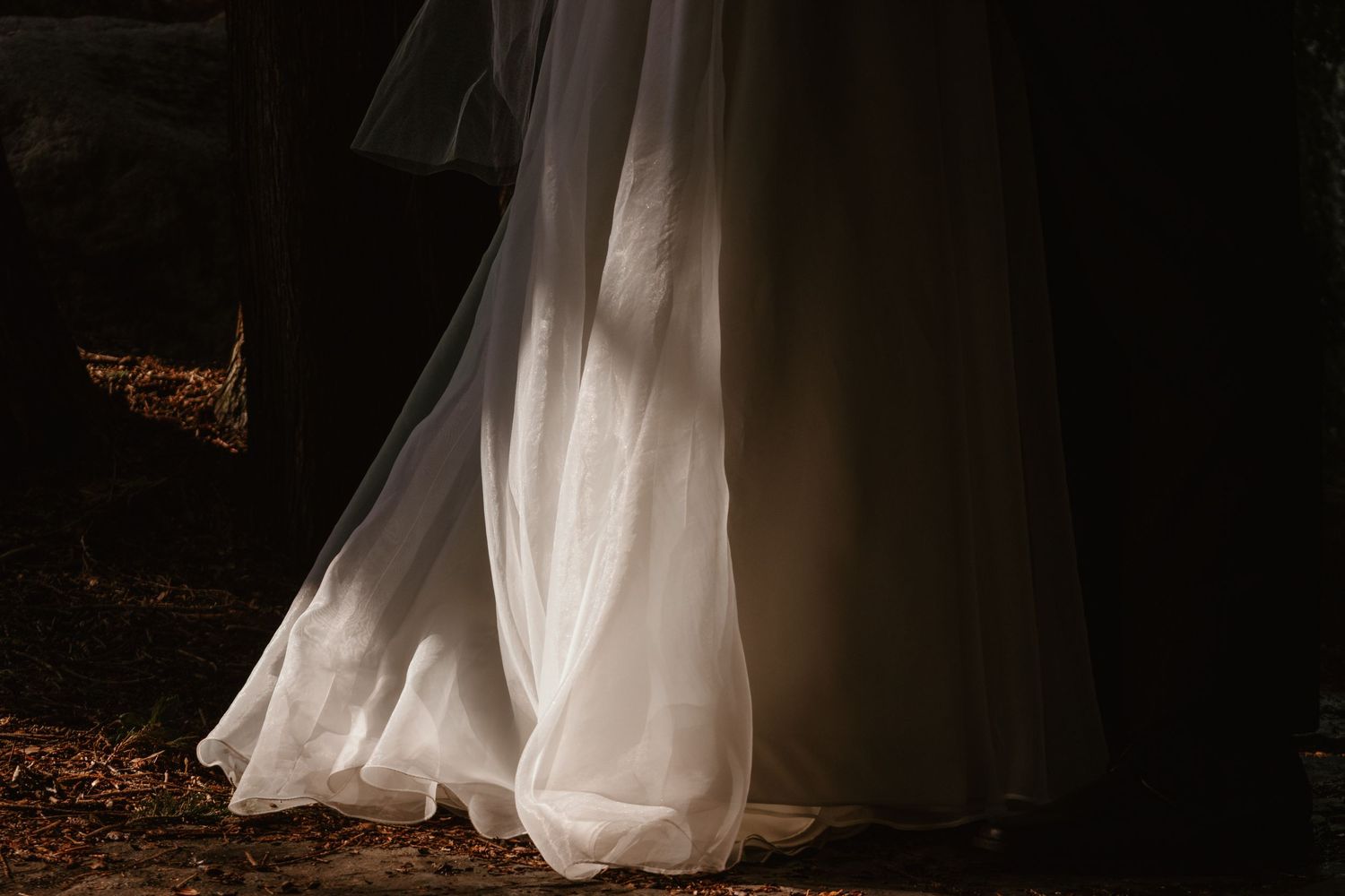 Flowing white tulle gown hem lit by a soft beam of sunlight in a dark forest, resting on a leaf-covered ground.