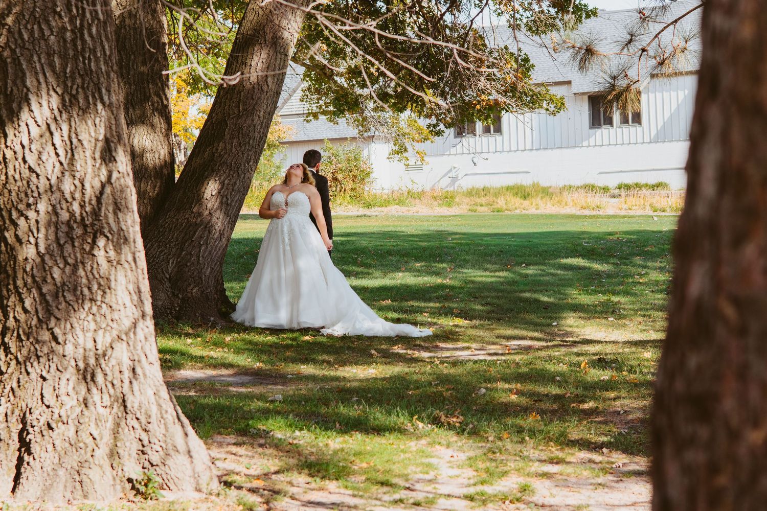 Bride and groom embrace on a sunlit green lawn framed by large tree trunks with a white building in the background.