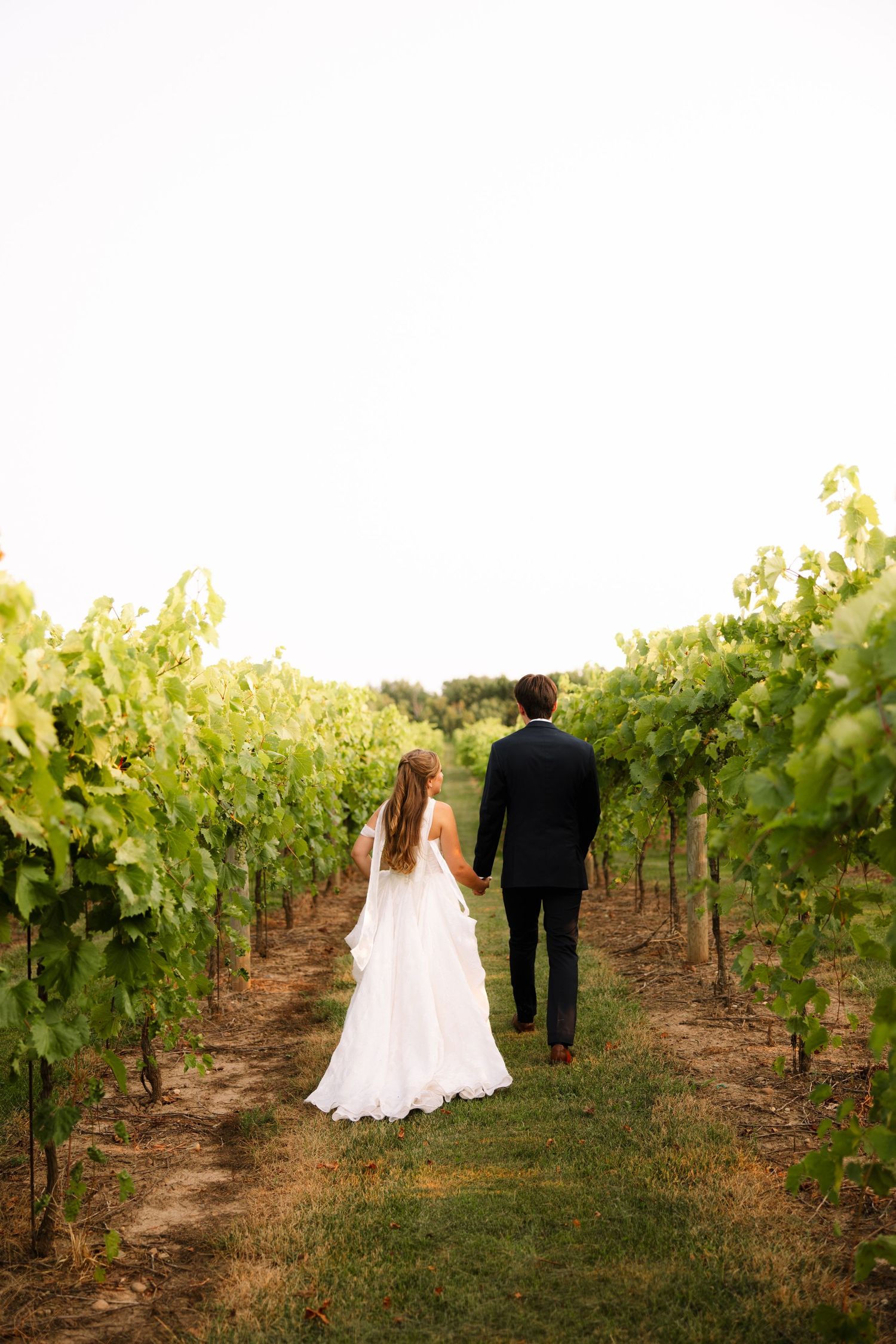 Bride in a flowing white gown and groom in a dark suit walk hand in hand down a grassy path between lush vineyard rows.