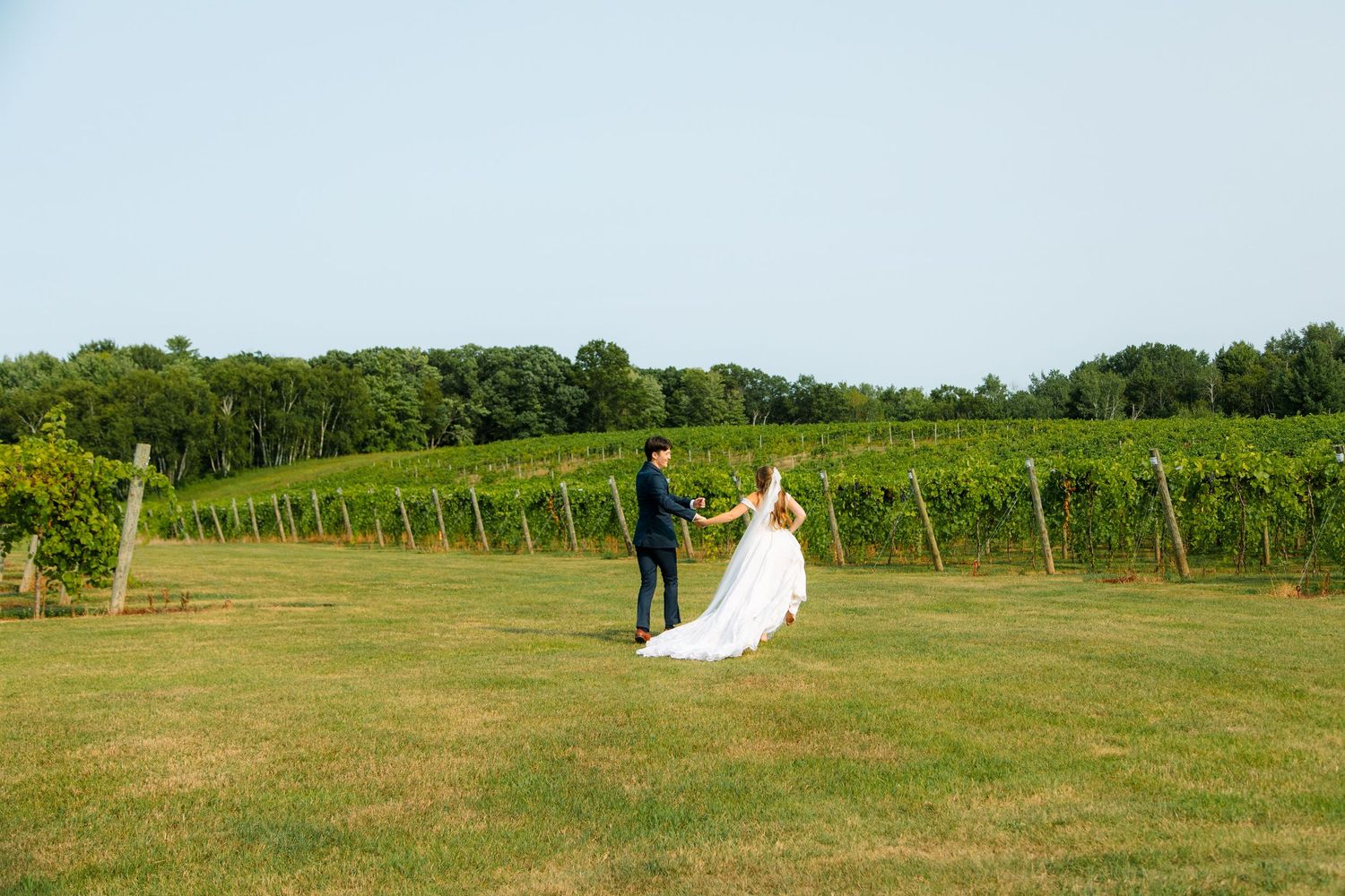 Bride in a long white gown and groom in a dark suit holding hands on a grassy lawn beside rows of vineyard grapevines at a wedding.