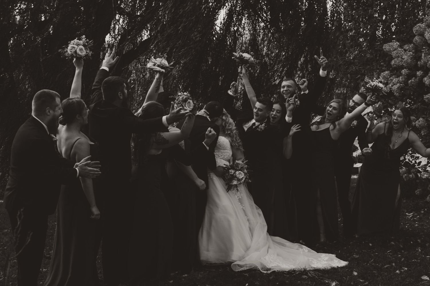 Black and white photo of a wedding party cheering with raised bouquets around the bride and groom beneath a willow tree.