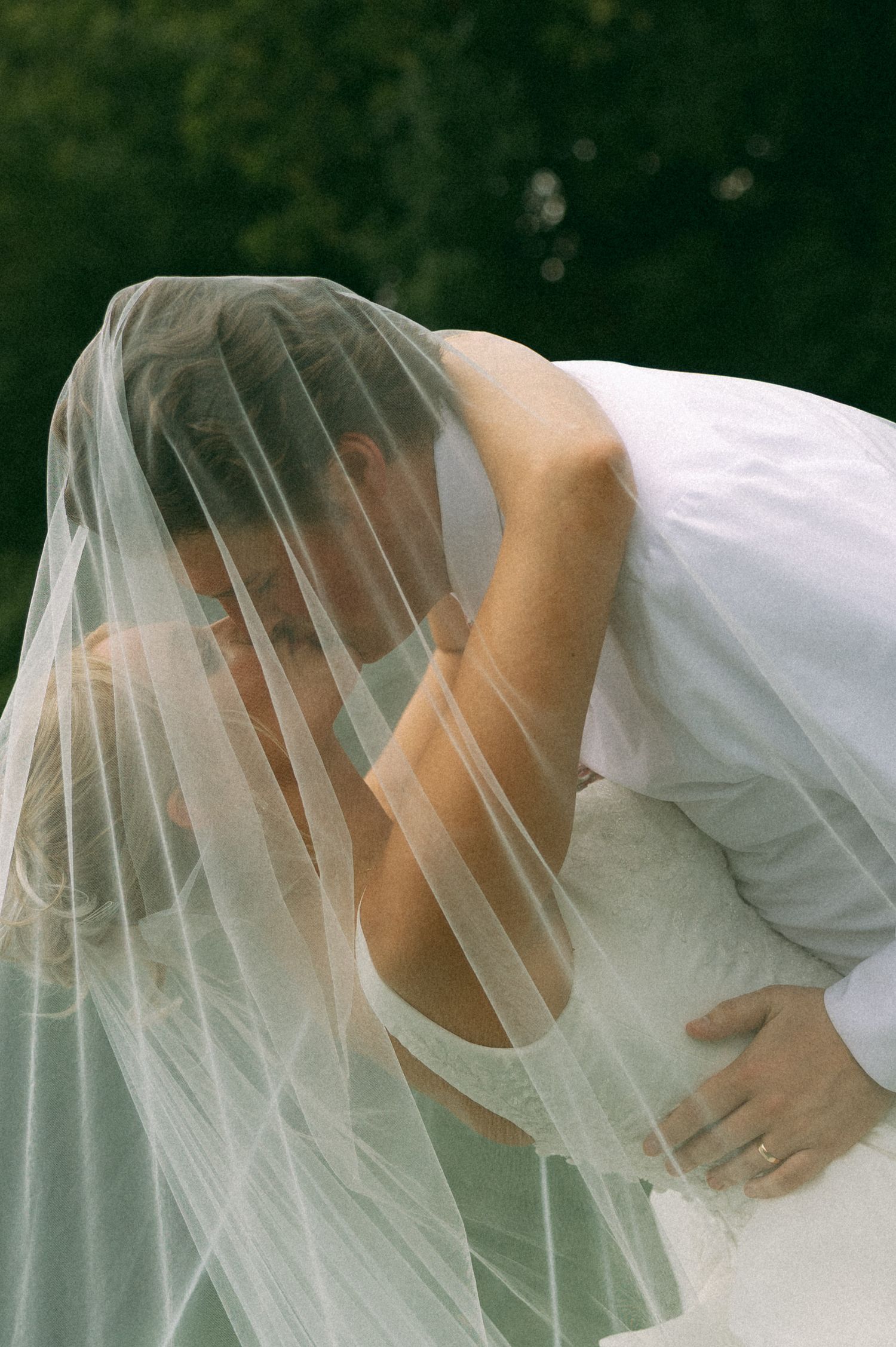 A groom leans in to kiss his bride beneath a sheer veil, framed by deep green foliage in an outdoor wedding portrait.