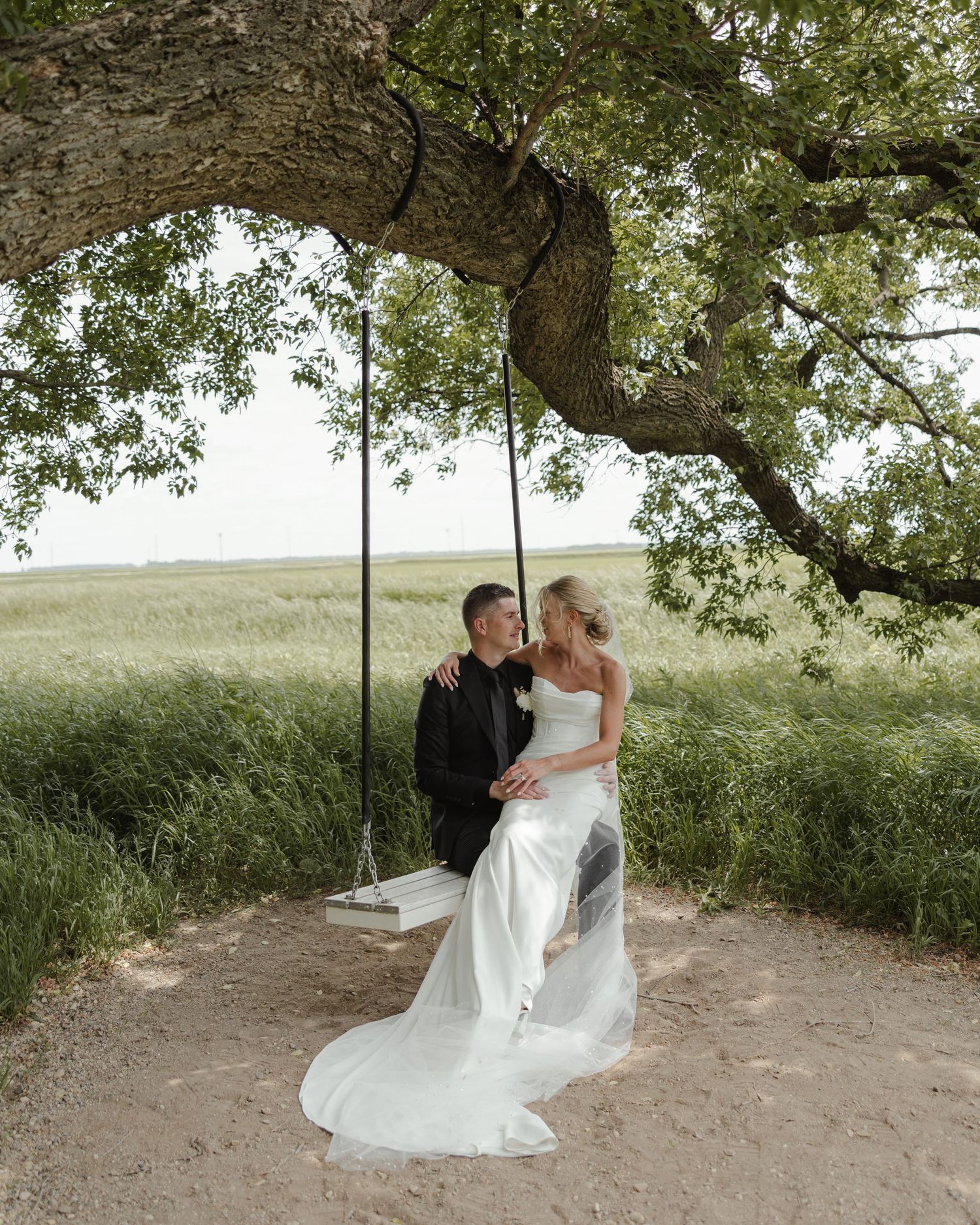 A romantic wedding photoshoot sequence under a tree branch showing tender moments between the couple.