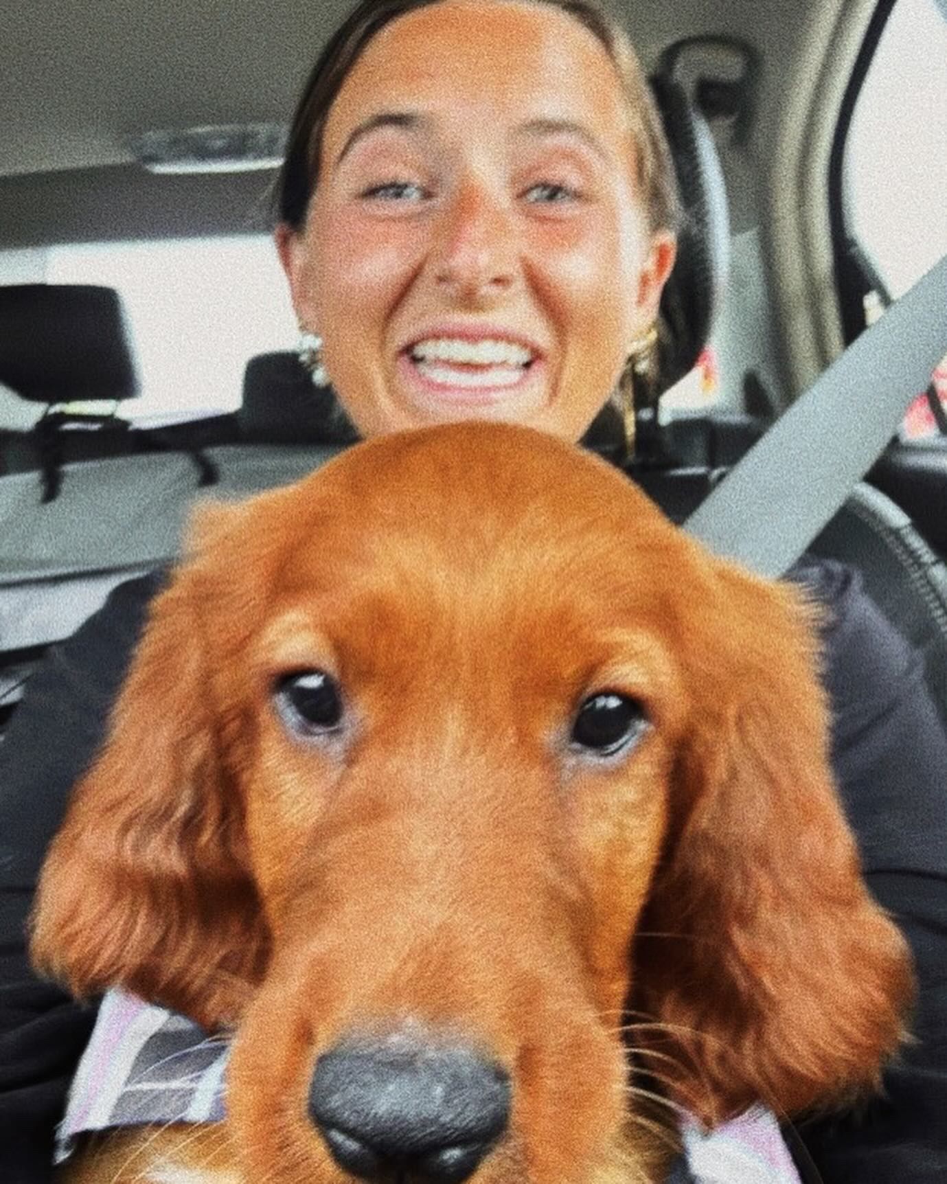 A golden retriever puppy poses for a close-up selfie with someone in a car.