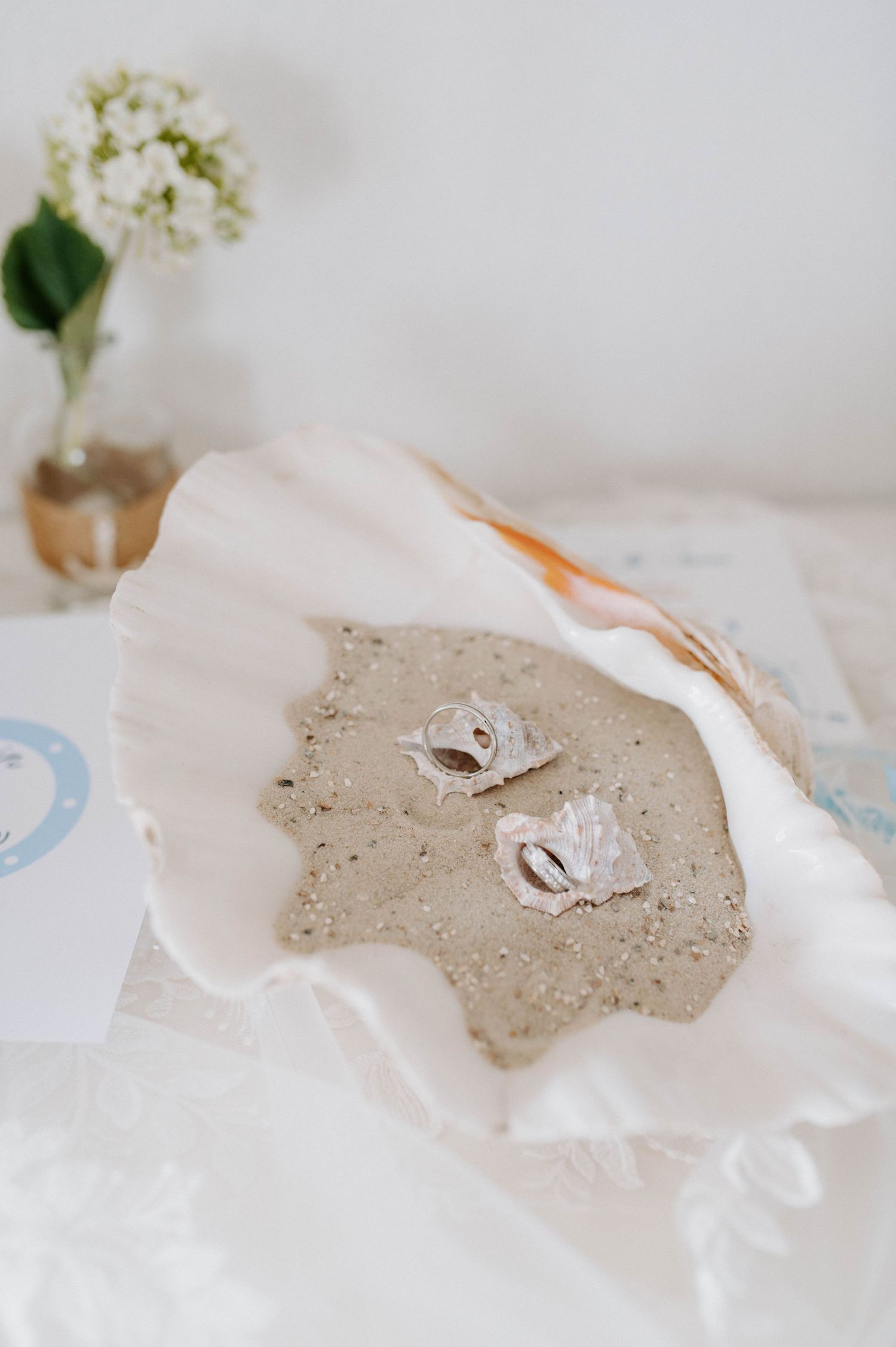 Two delicate silver rings displayed on a soft beige surface with a small white floral arrangement in the background.