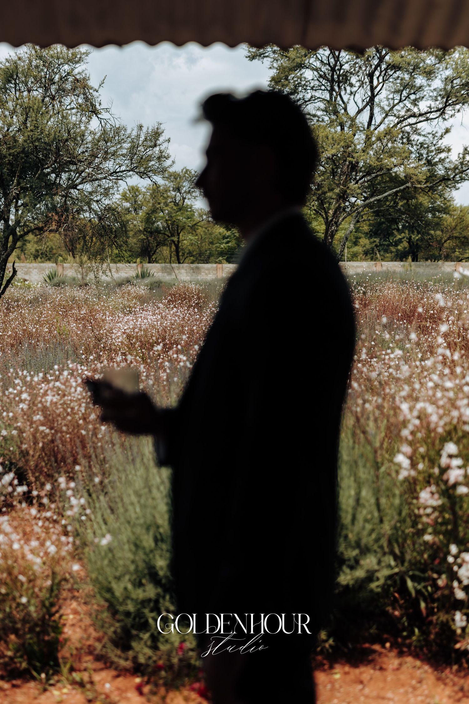 Silhouettes of a couple stand together in a field of cotton plants at golden hour.