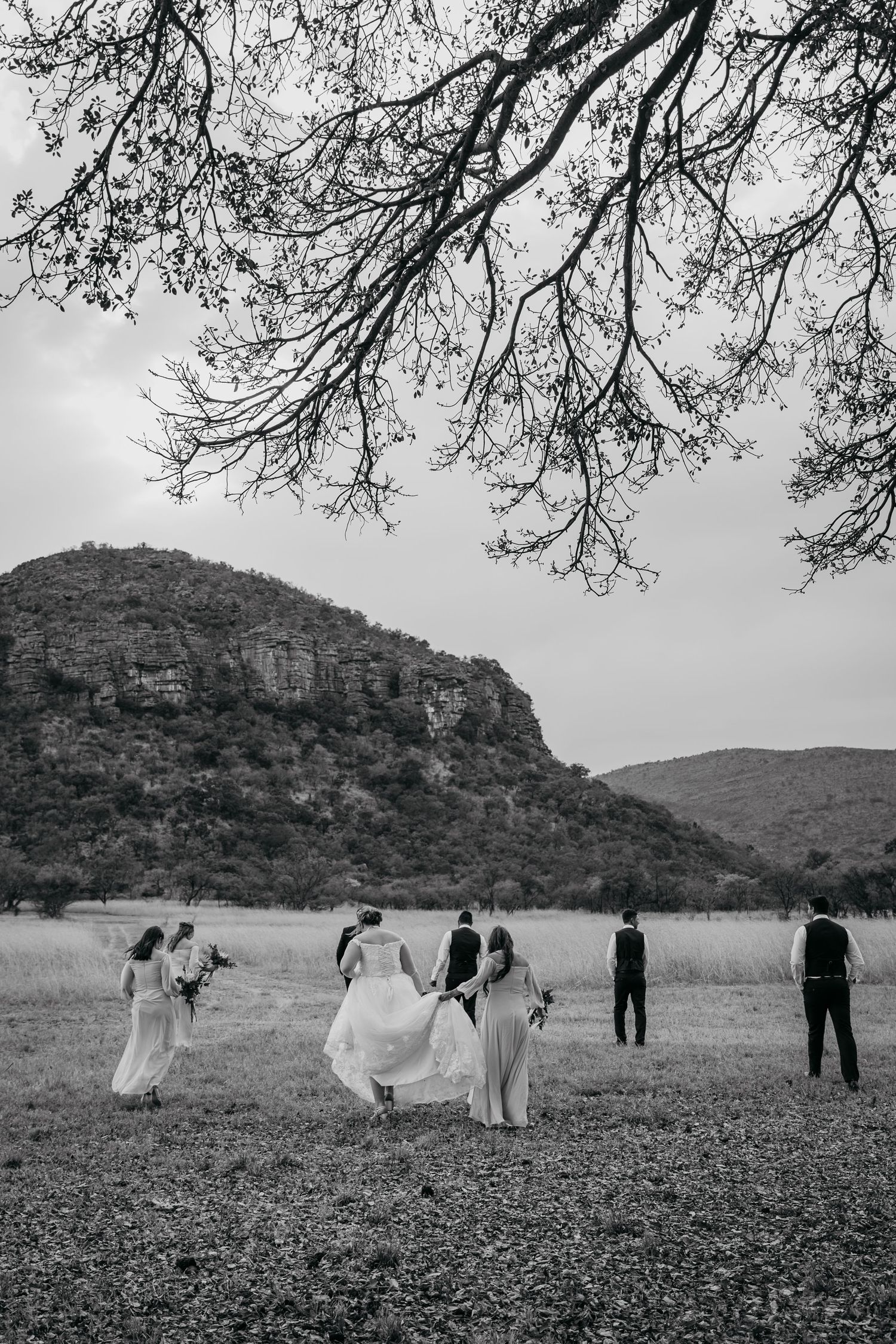 Black and white panoramic sequence of a wedding party scattered across a wildflower field with mountains in the background.