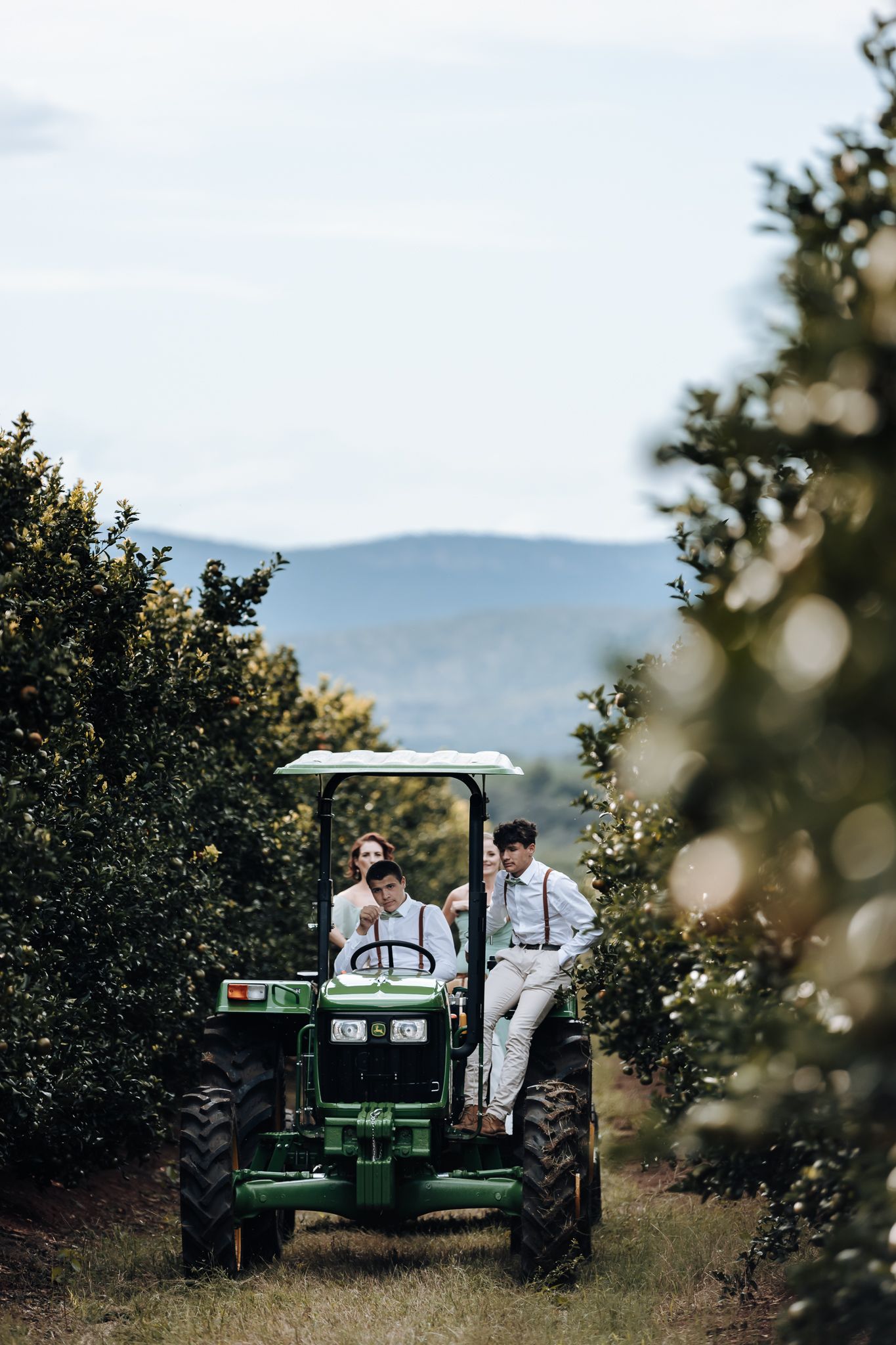 Couple riding green tractor through orchard rows with mountains visible in distance.