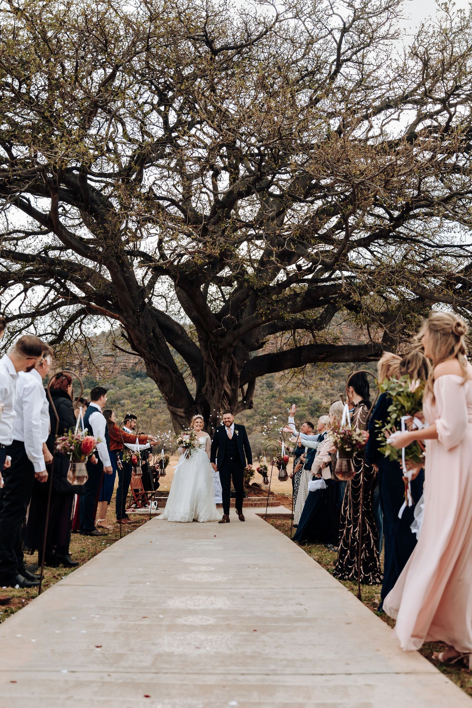 Wedding guests stand on either side of a concrete pathway under a majestic sprawling tree during an outdoor ceremony.