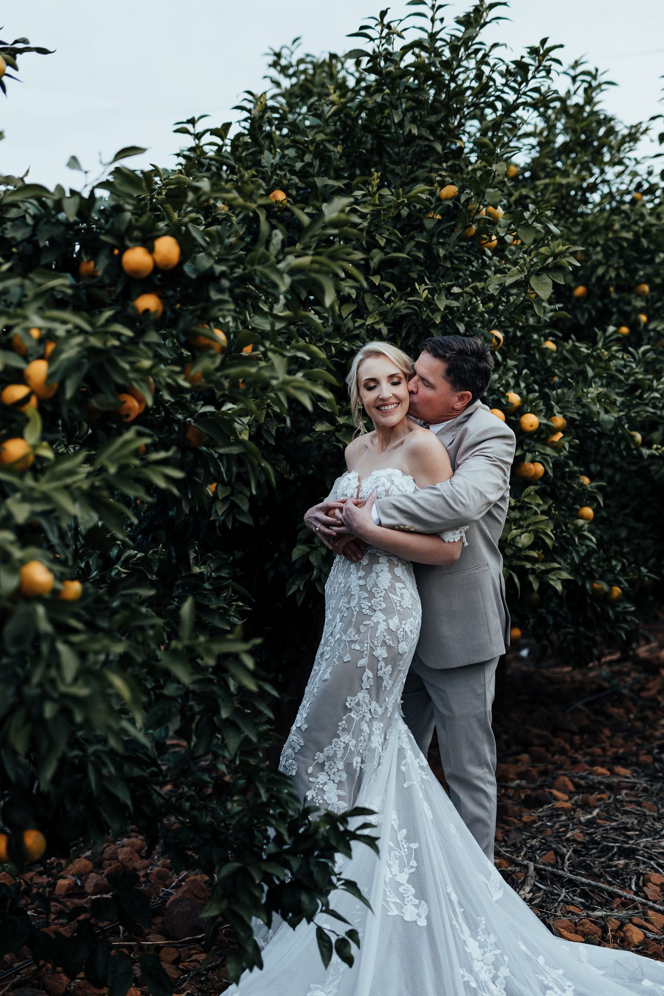 A romantic wedding photo of a couple embracing in an orange grove with a white lace dress and grey suit.