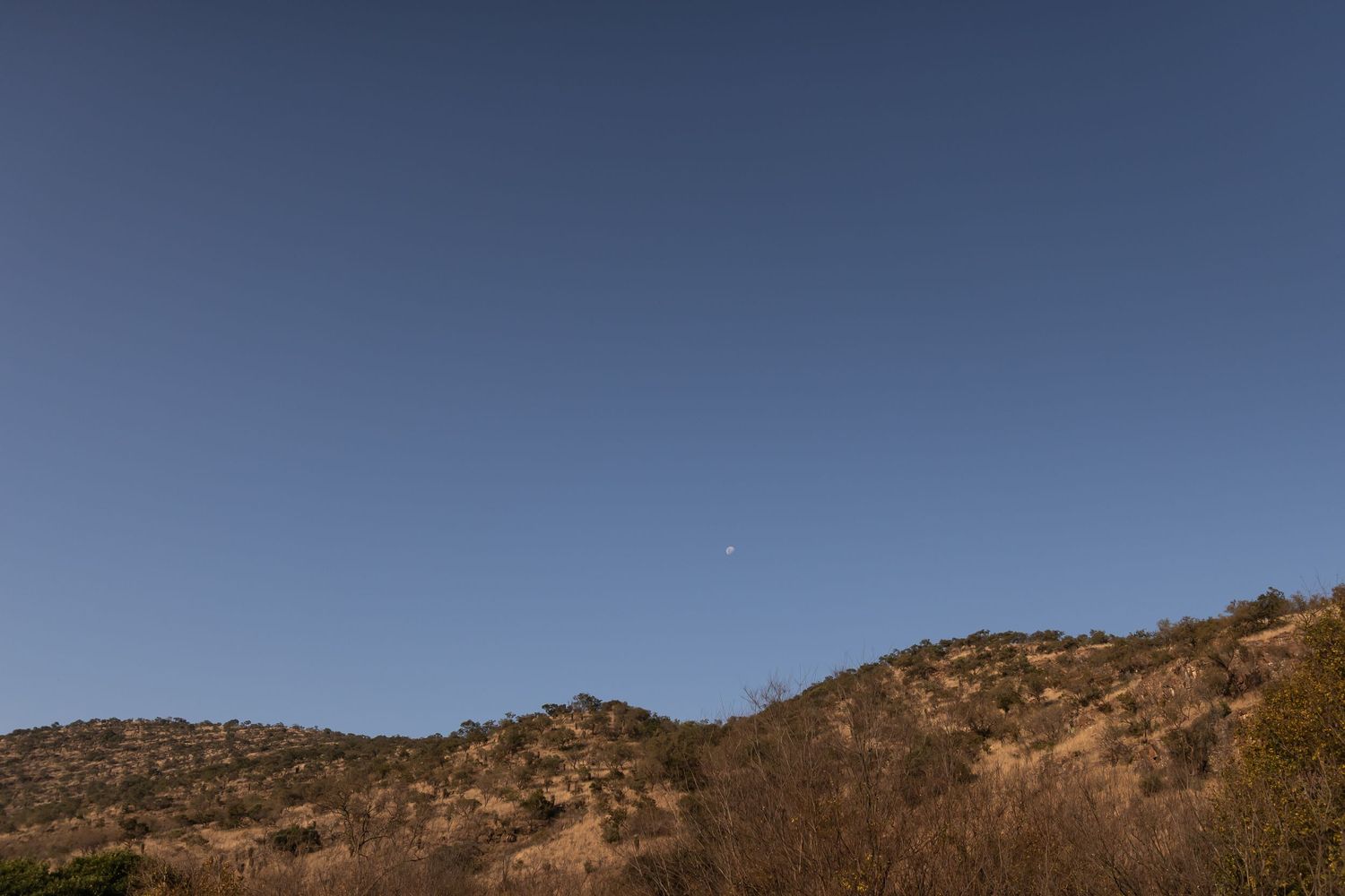 Clear sky above rugged brown mountains in a desert landscape with sparse vegetation against deep blue horizon.