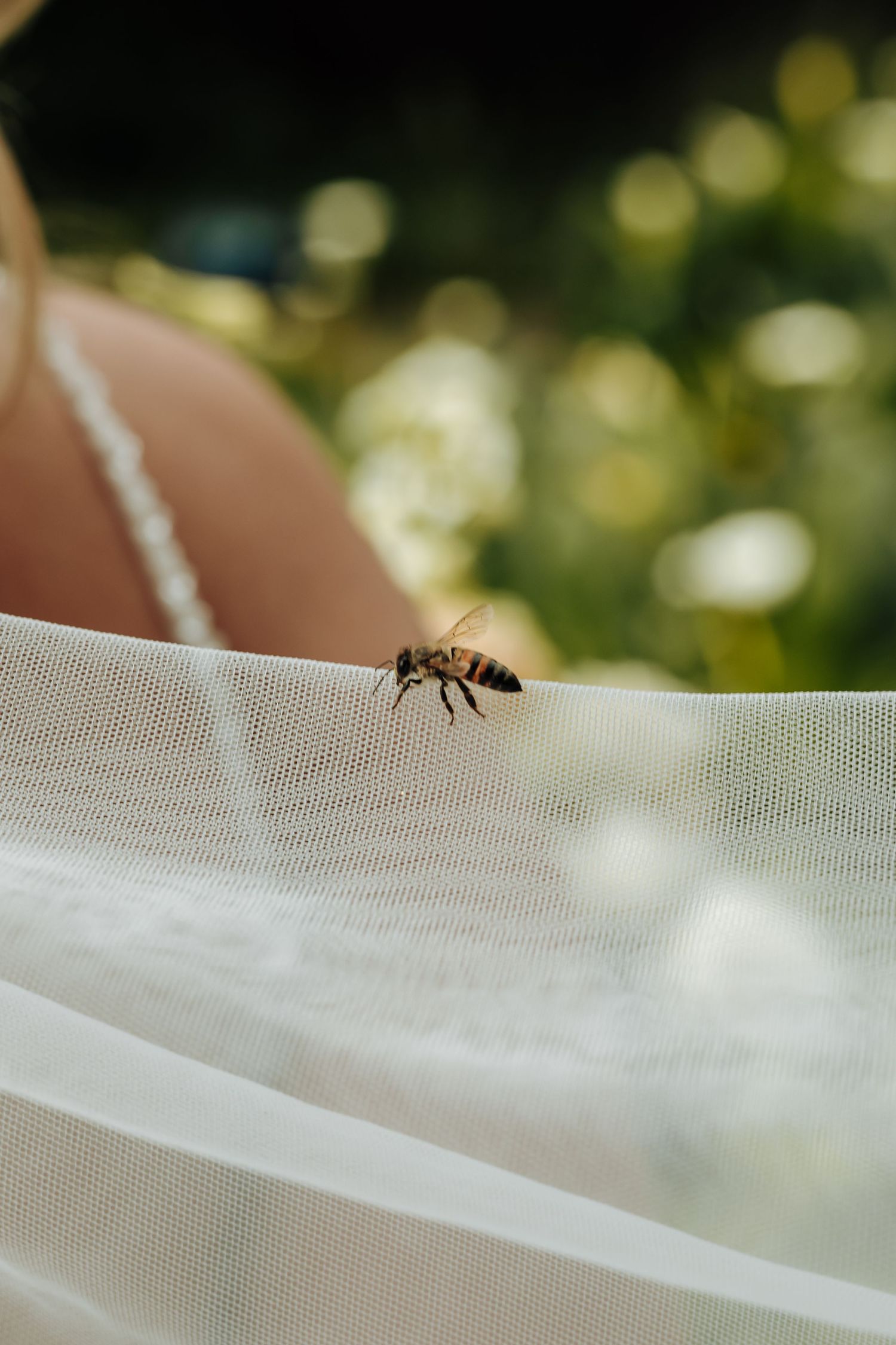 A small ant crawls along the edge of a white mesh screen or fabric in natural outdoor lighting.