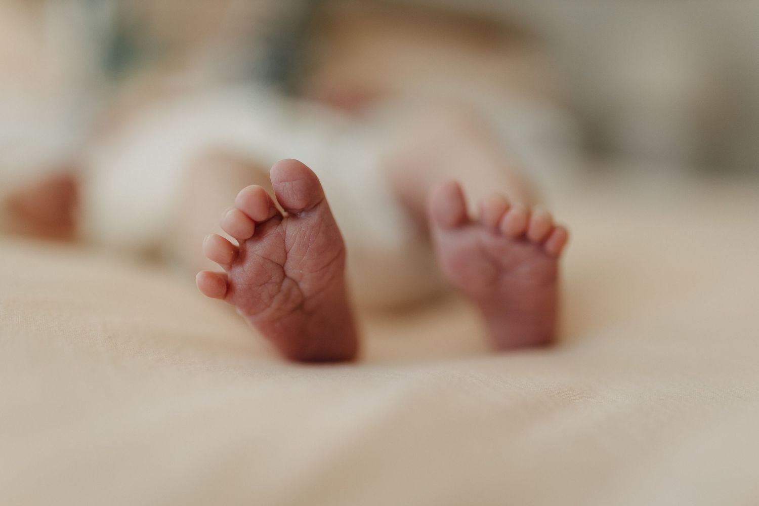 Close up view of tiny newborn baby feet against soft white background.