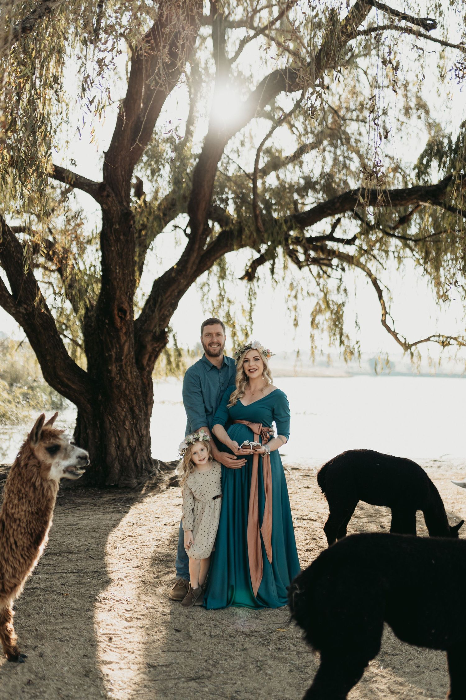 Under draped oak trees at sunset, a couple in coordinating teal and beige outfits pose together on a sandy path.