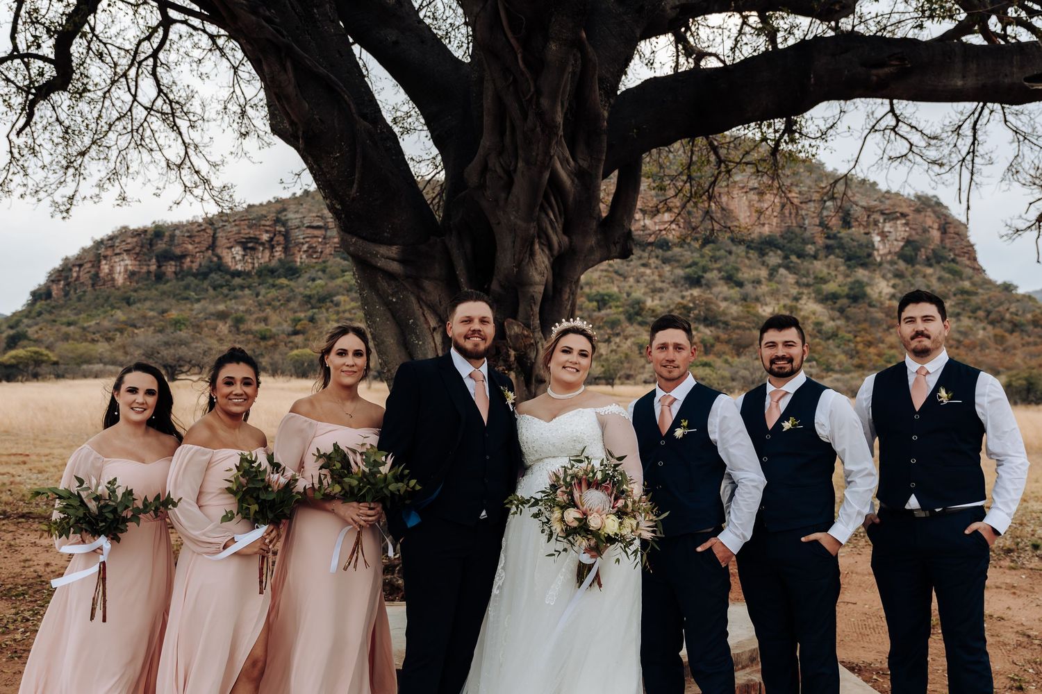 Wedding party in formal attire poses beneath large tree with desert mesa landscape in background.