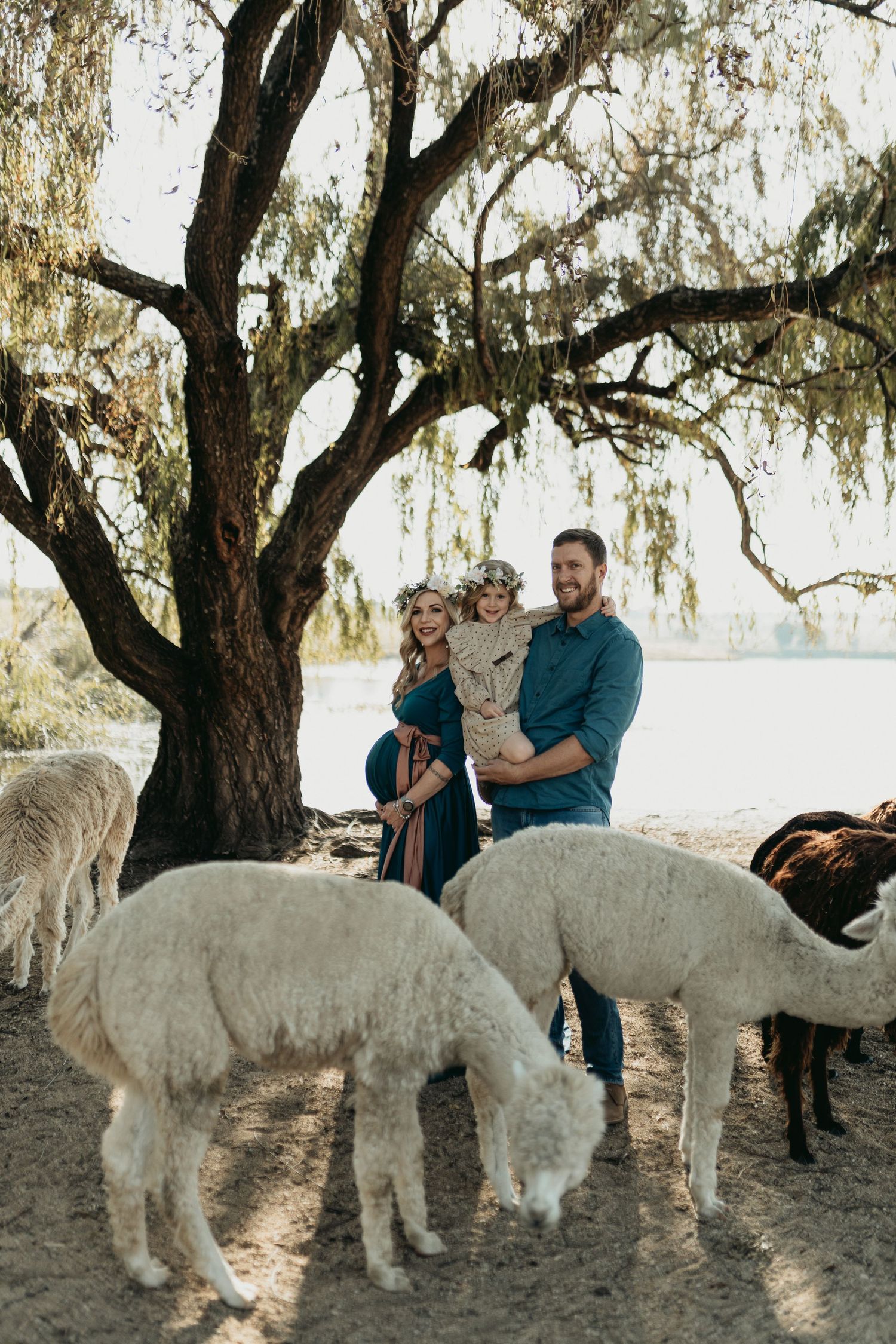 A family spends quality time outdoors with their large white fluffy dog under a majestic tree.